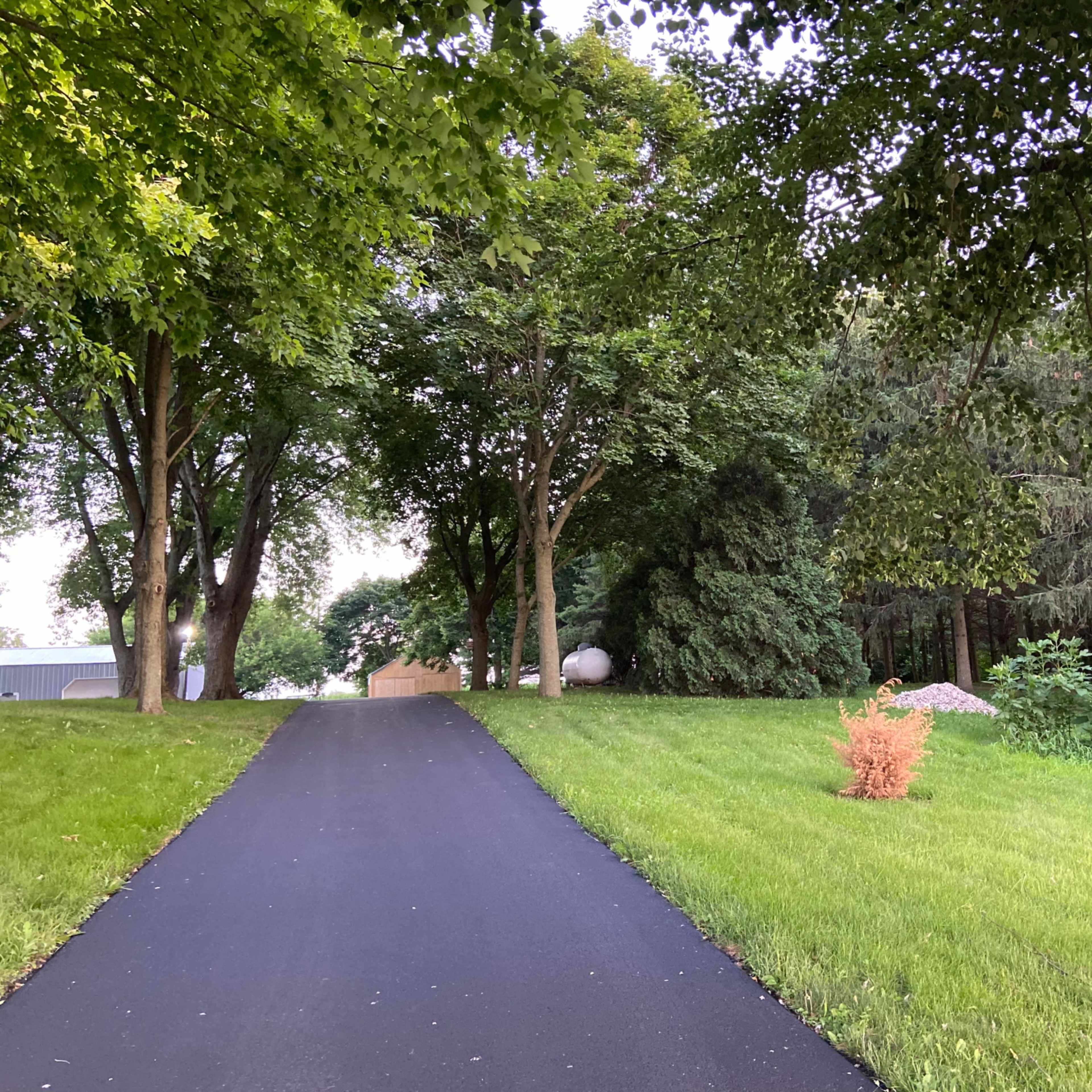 A black asphalt driveway leads through a green landscape with trees on either side and a patch of grass on the left.