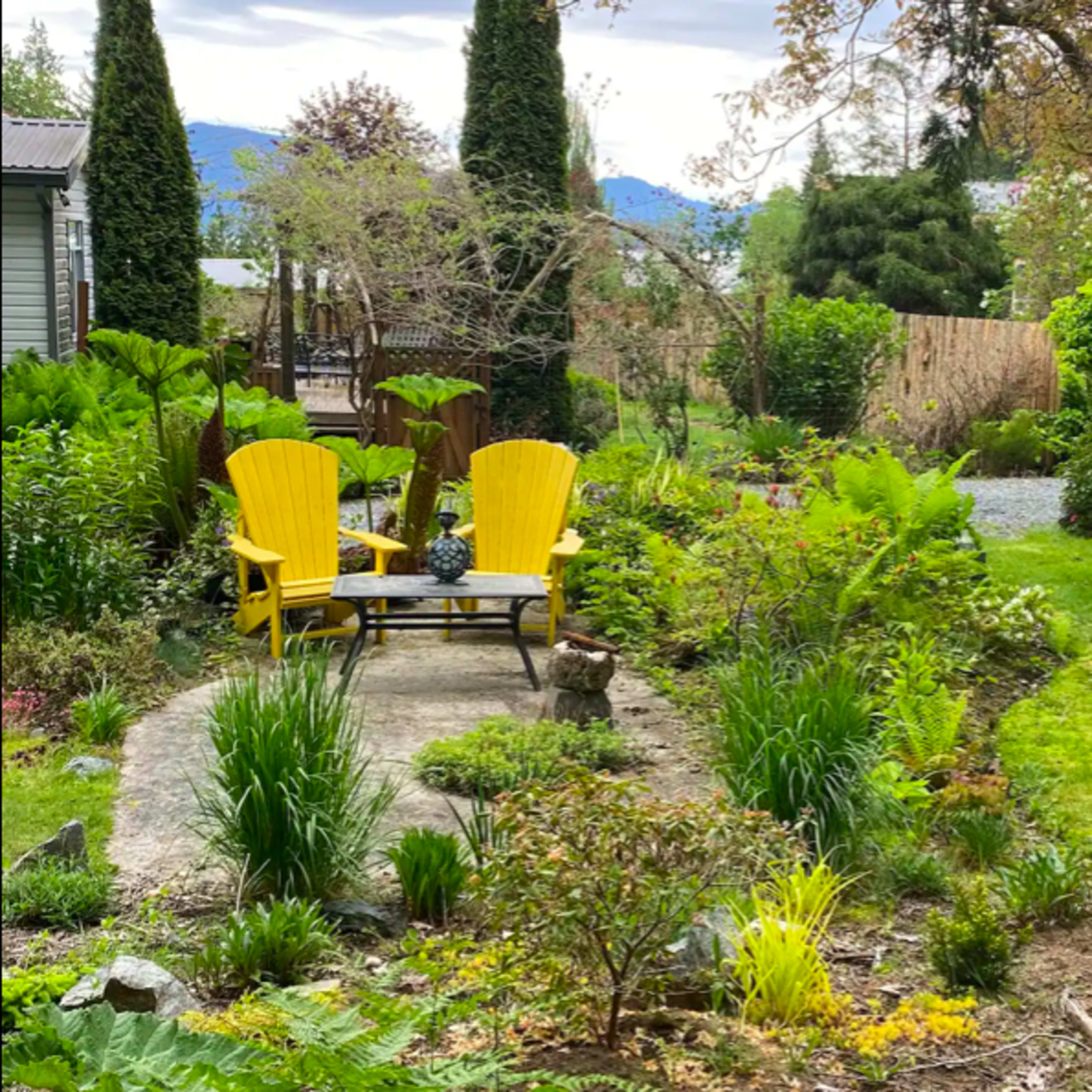 A pair of yellow chairs sits on a stone path amidst a well-kept garden featuring various plants and trees.