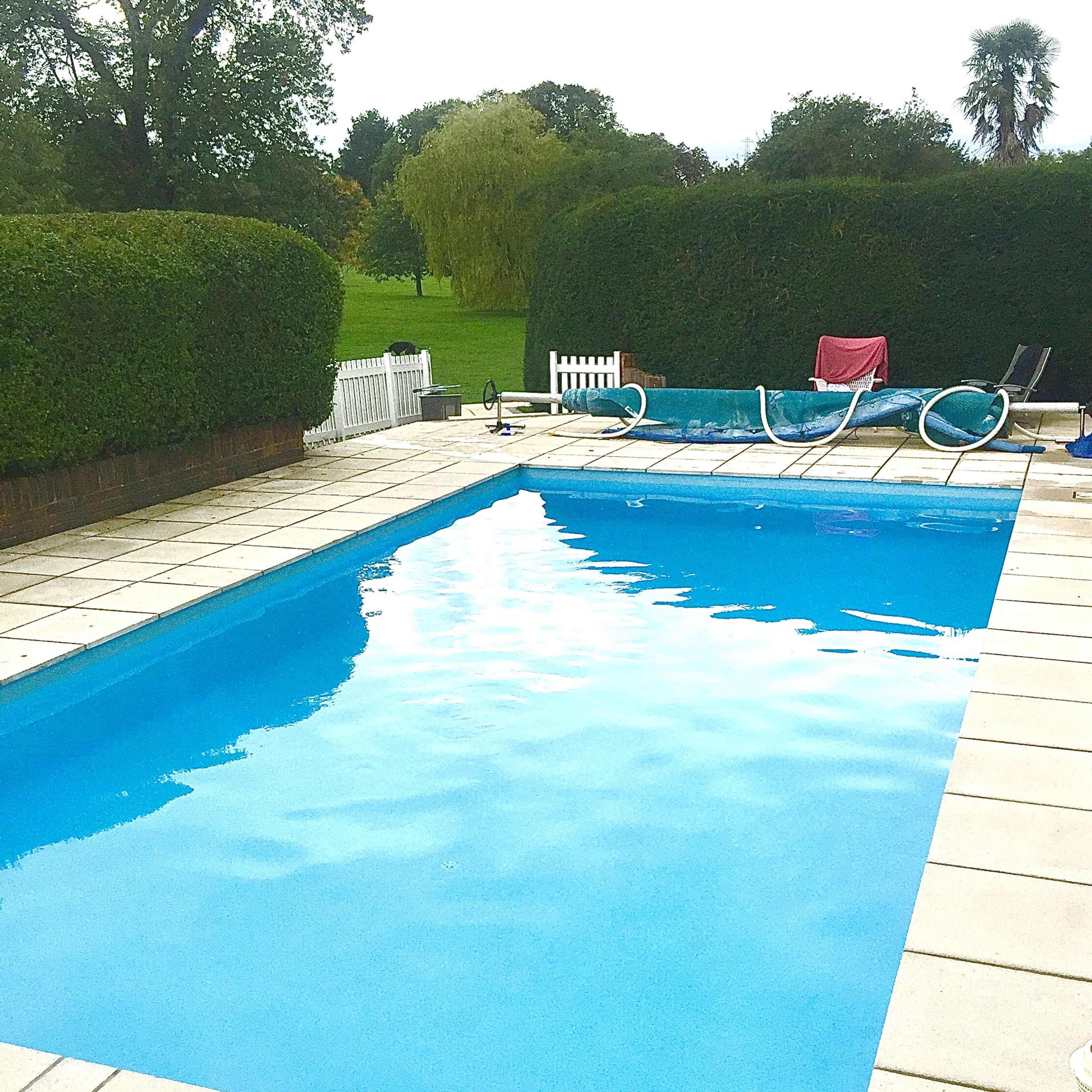 A rectangular swimming pool surrounded by a patio and hedge, with lounge chairs arranged nearby.