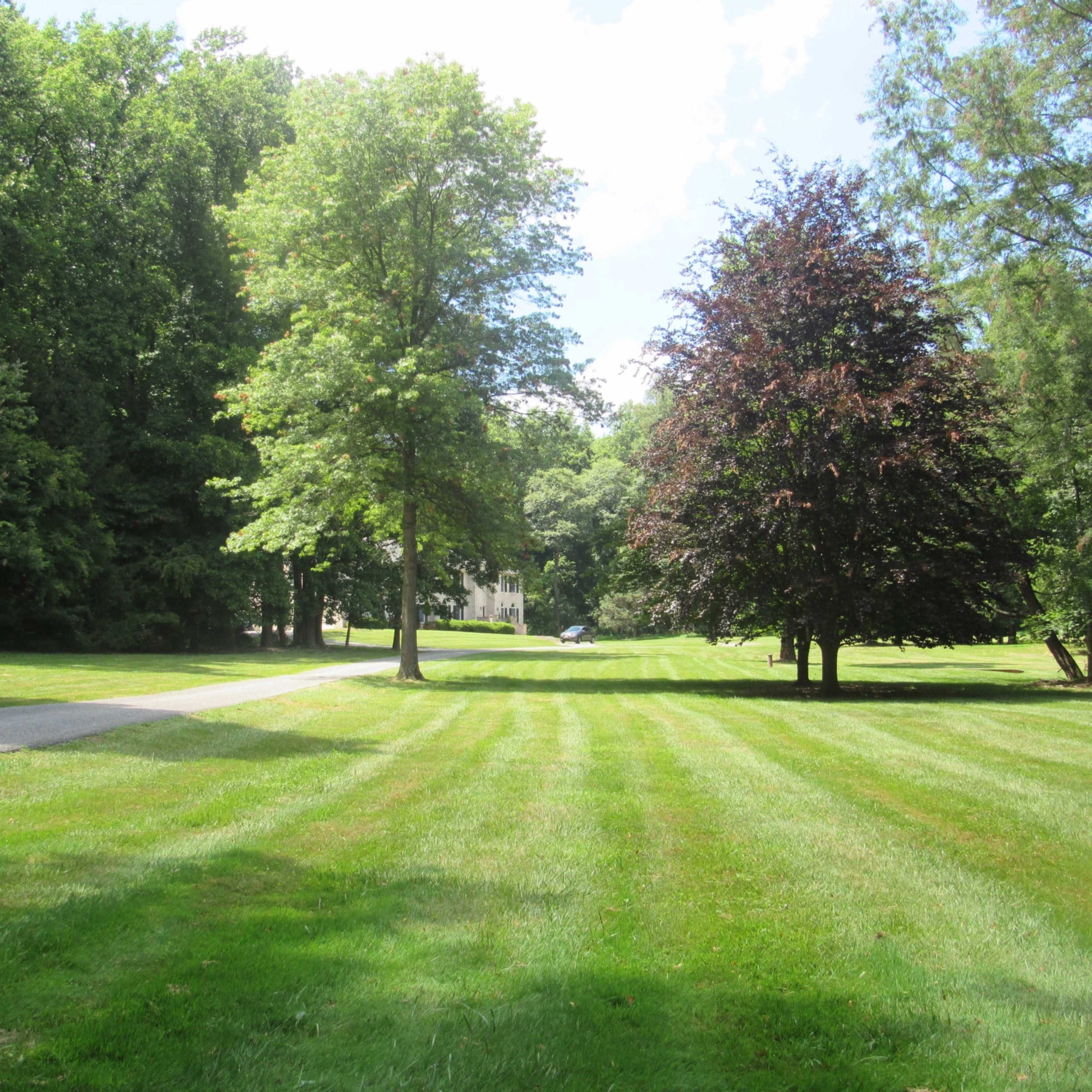 A manicured lawn with striped grass stretches between two trees leading towards a house in the background.
