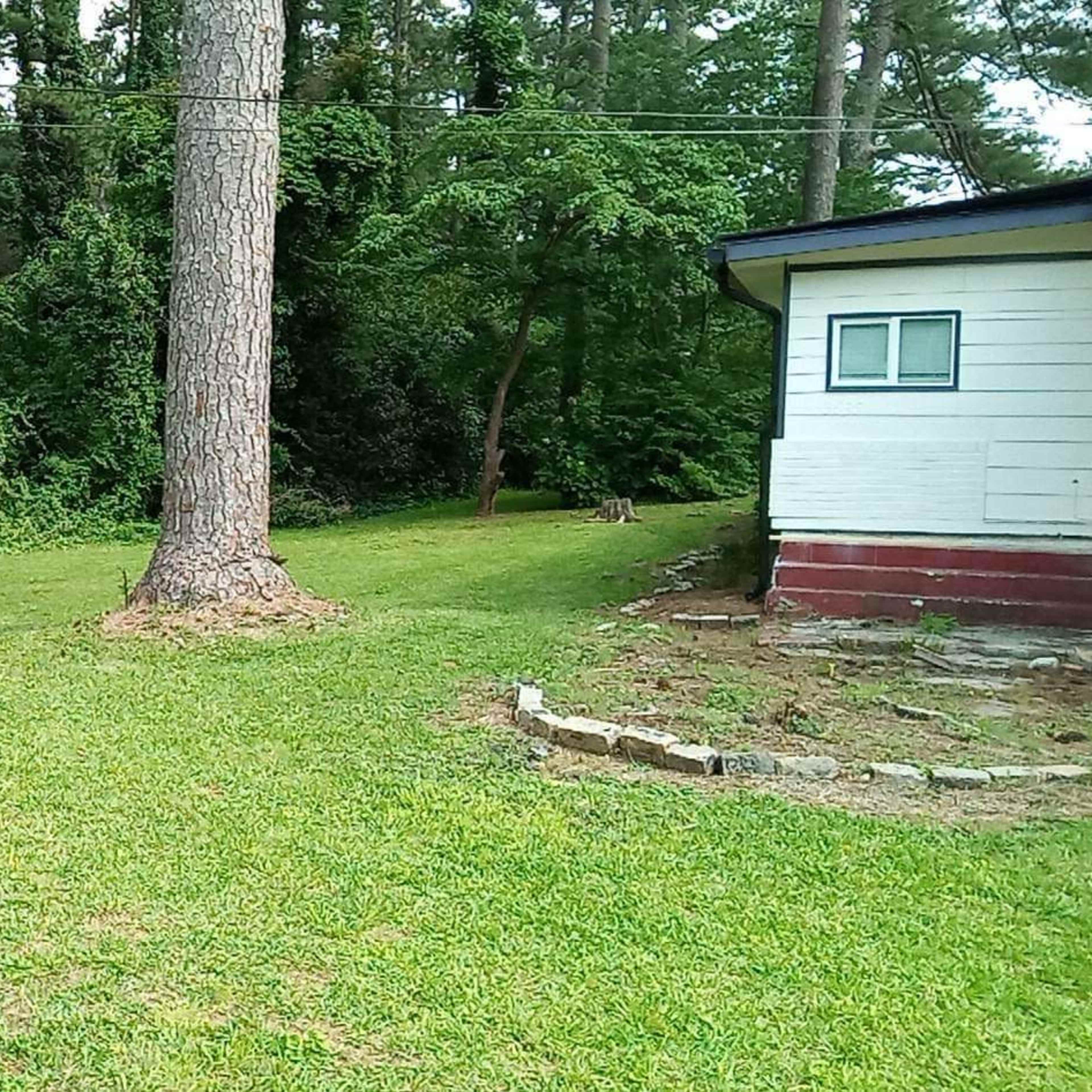 A lawn bordered by two tall trees, with a house on one side and dense greenery in the background.