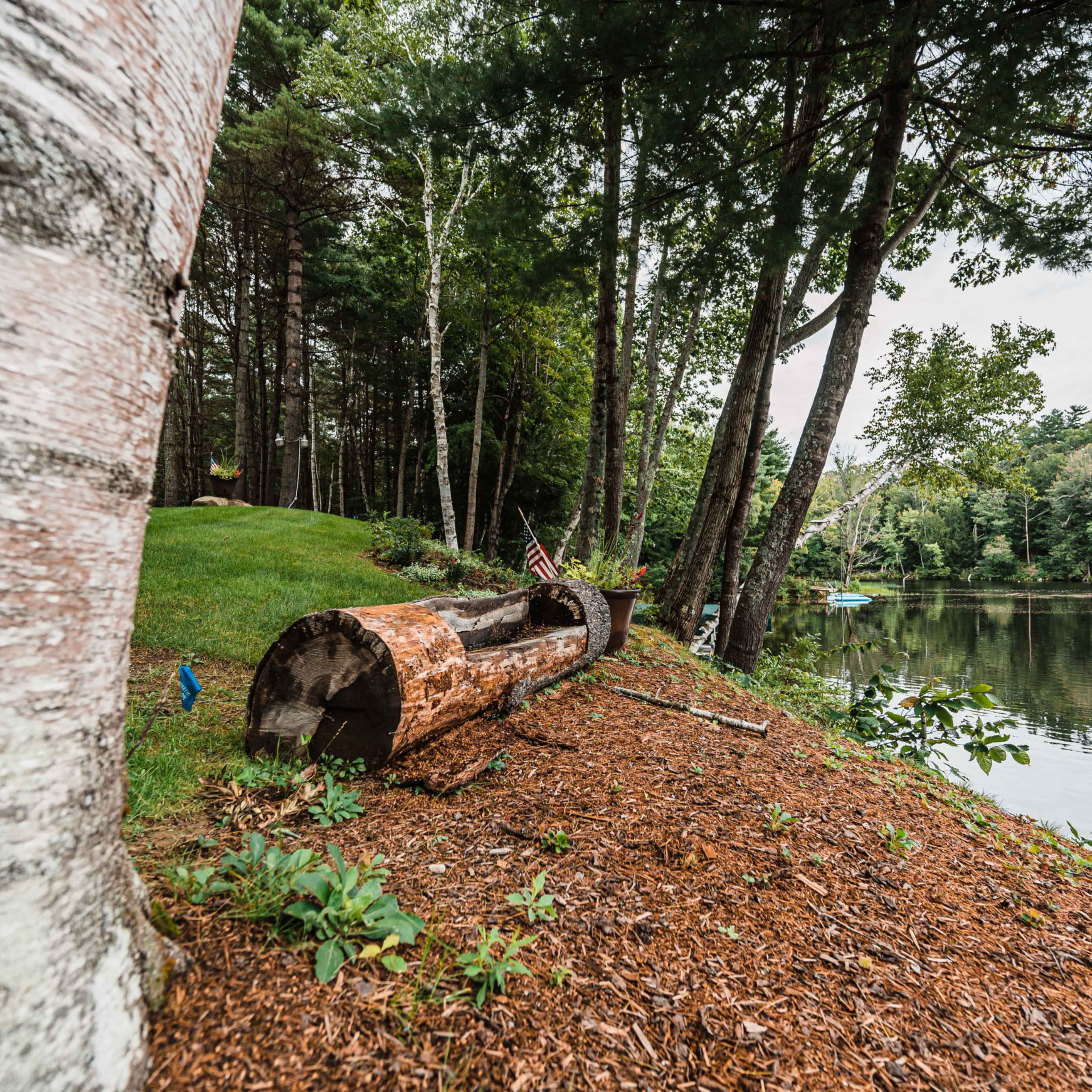 A log rests on the shore of a calm lake surrounded by trees and greenery.