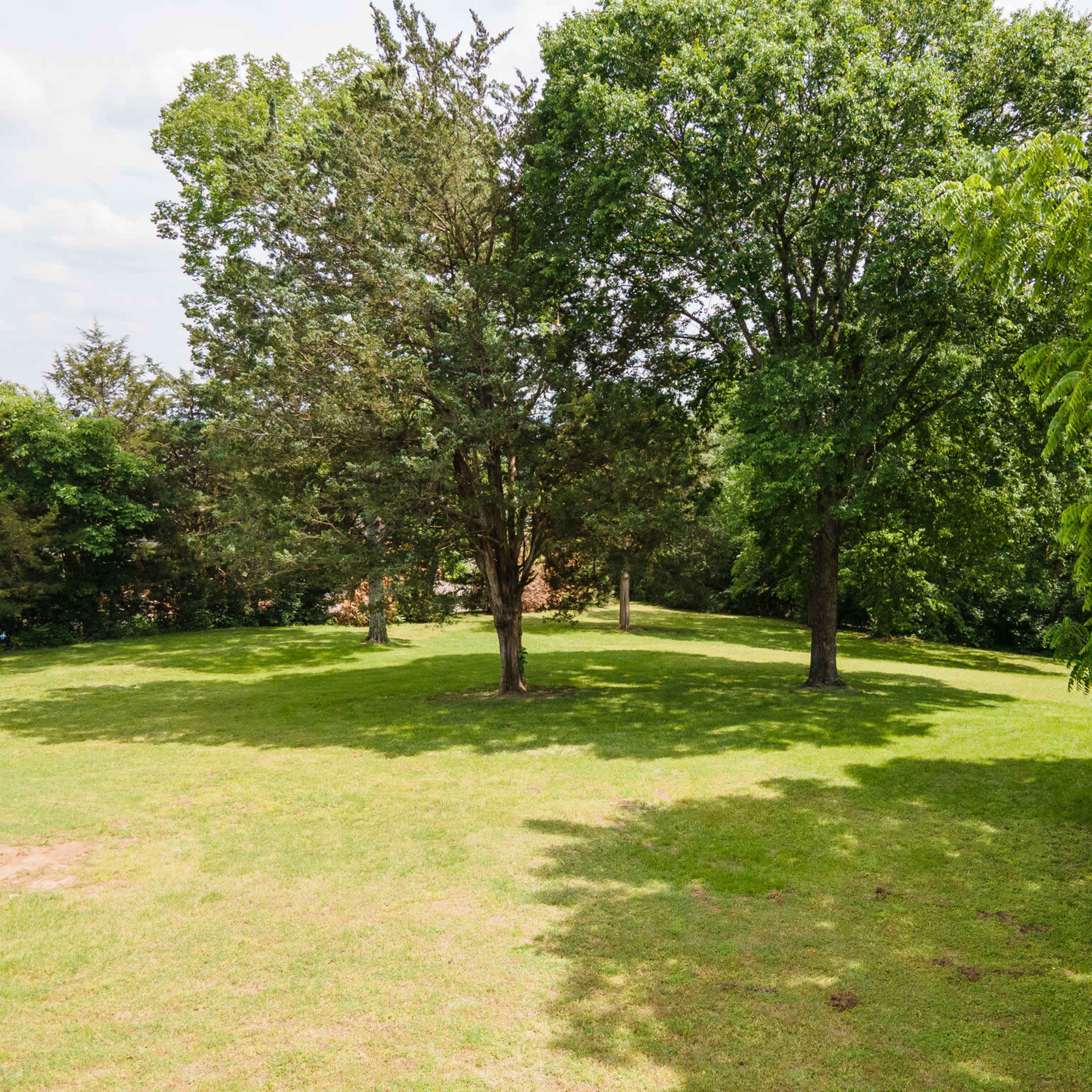 A grassy area with several trees and a clear sky in the background.