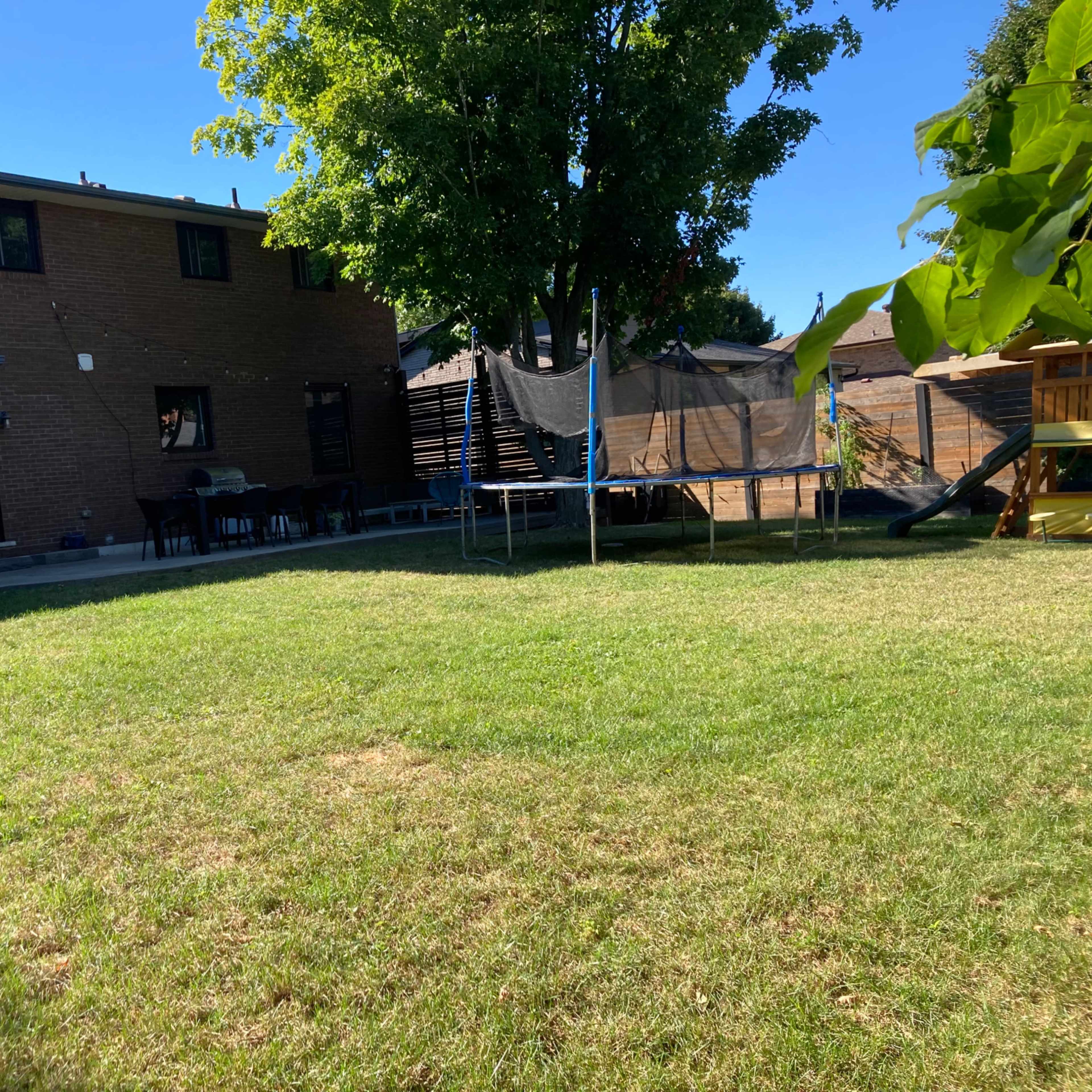 A backyard with a grassy area, a trampoline, a patio, and a two-story brick house in the background.