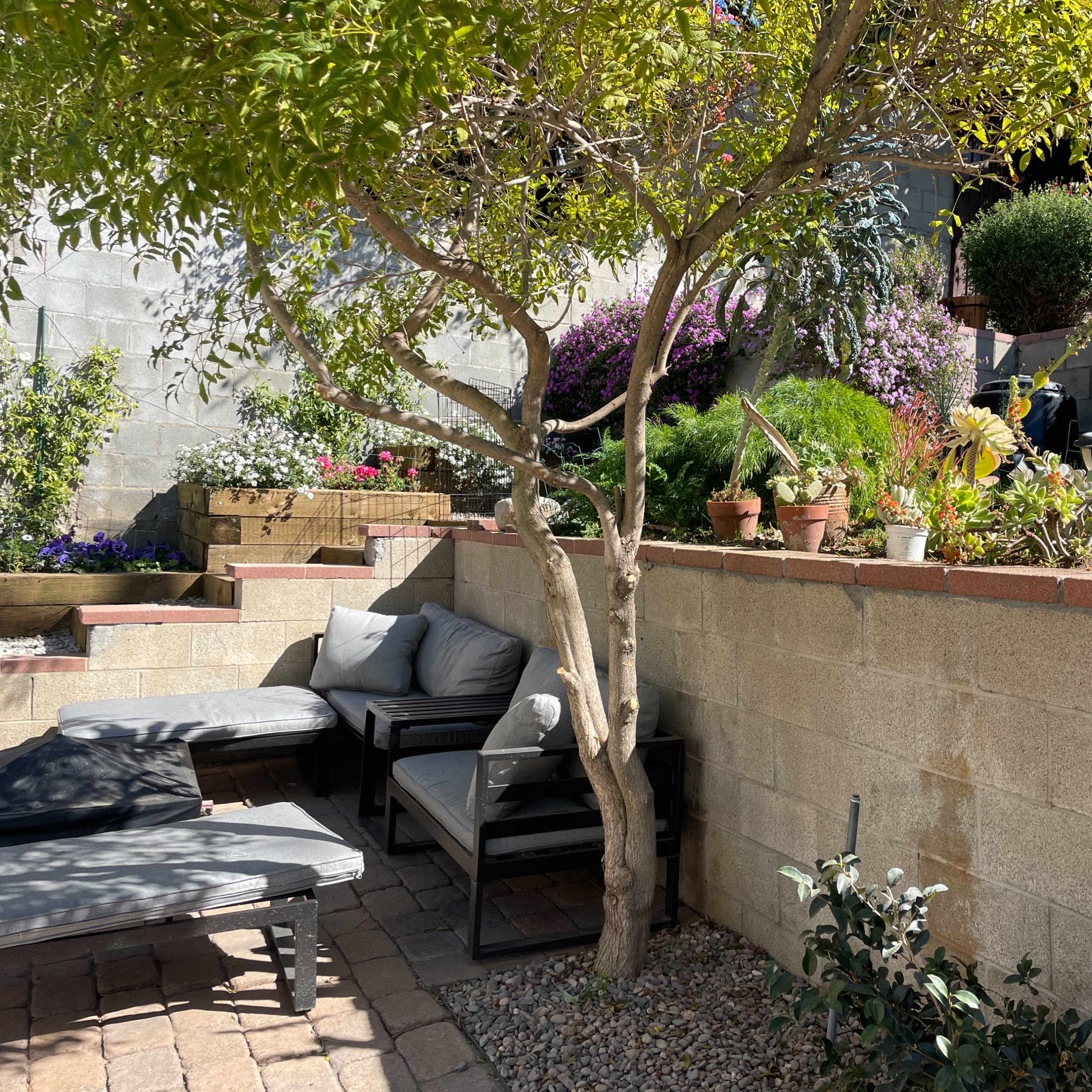 A patio area with outdoor furniture is situated beside a landscaped garden featuring various plants and flowers on terraced levels.