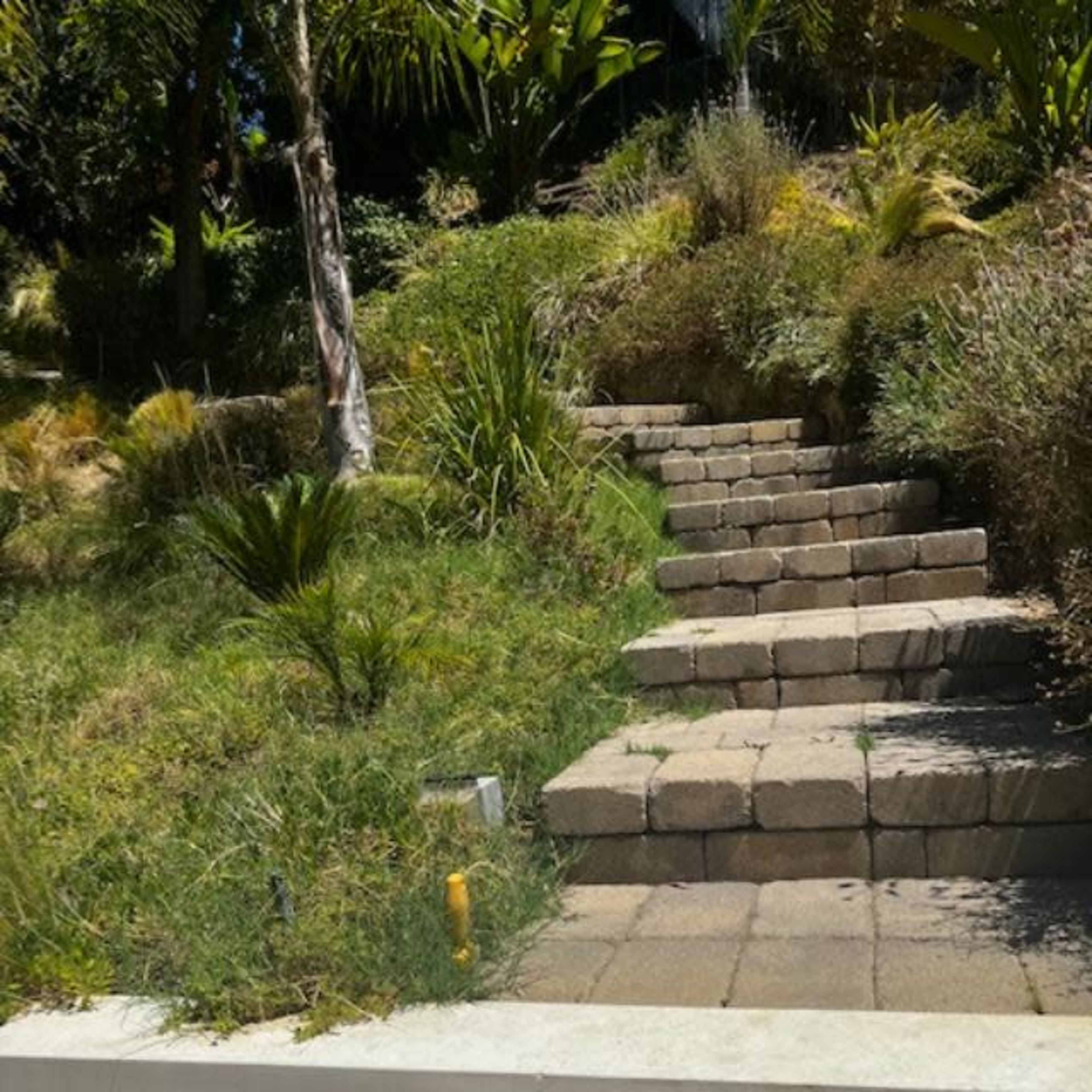 A set of stone steps leading up a grassy area with shrubs and plants.
