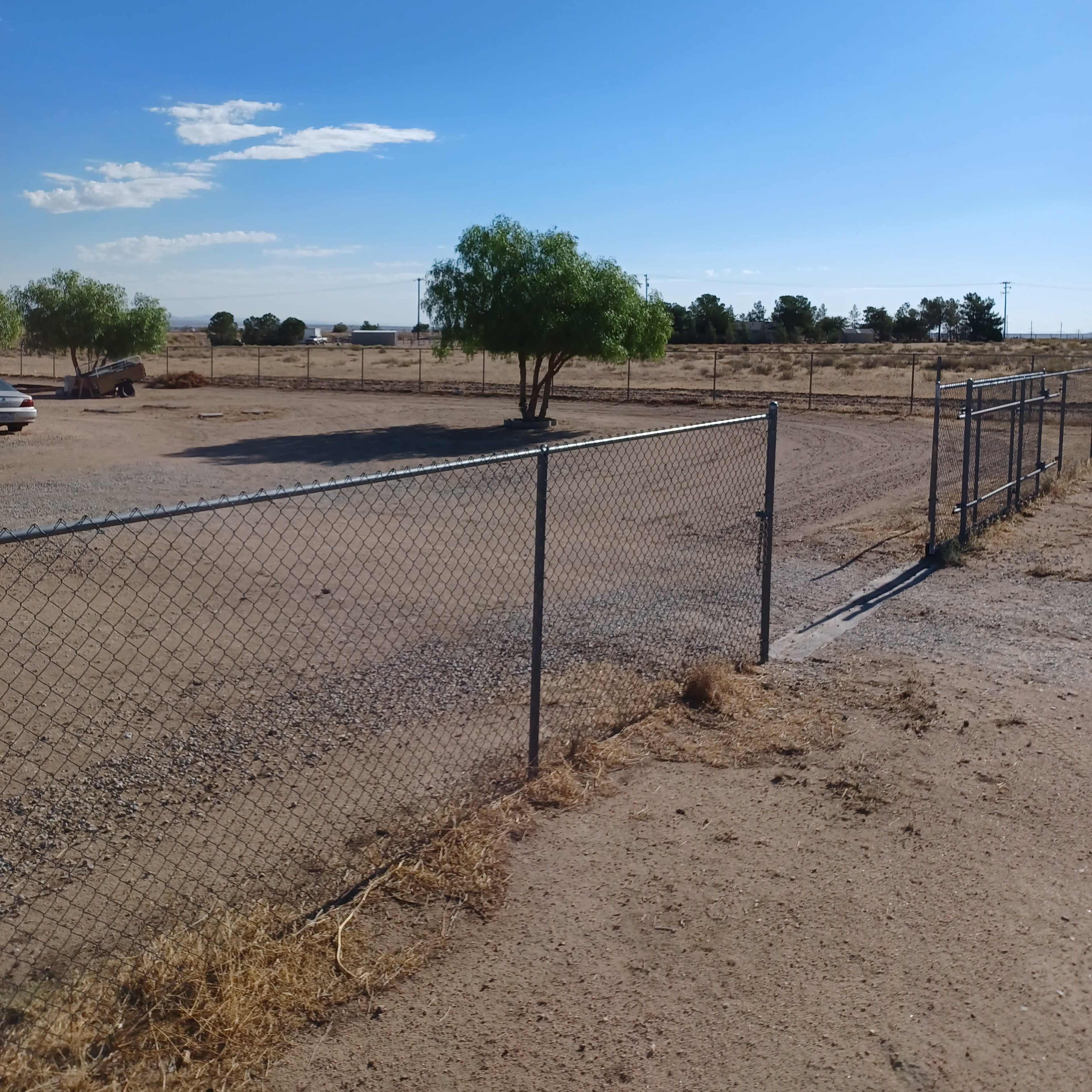 A chain-link fence encloses a sparse area with a few trees and a clear blue sky.