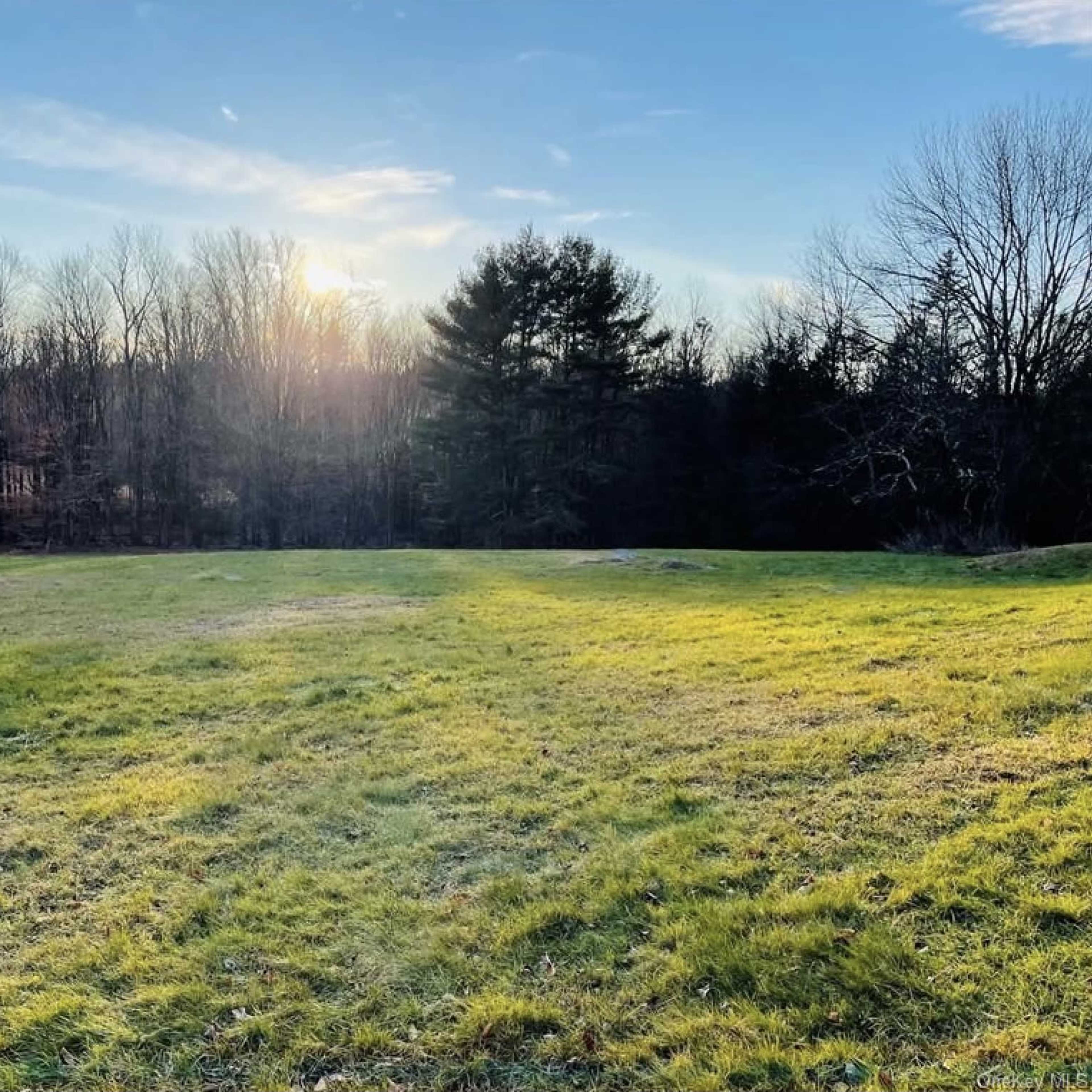 A grassy field extends towards a line of trees under a clear sky with the sun positioned low on the horizon.