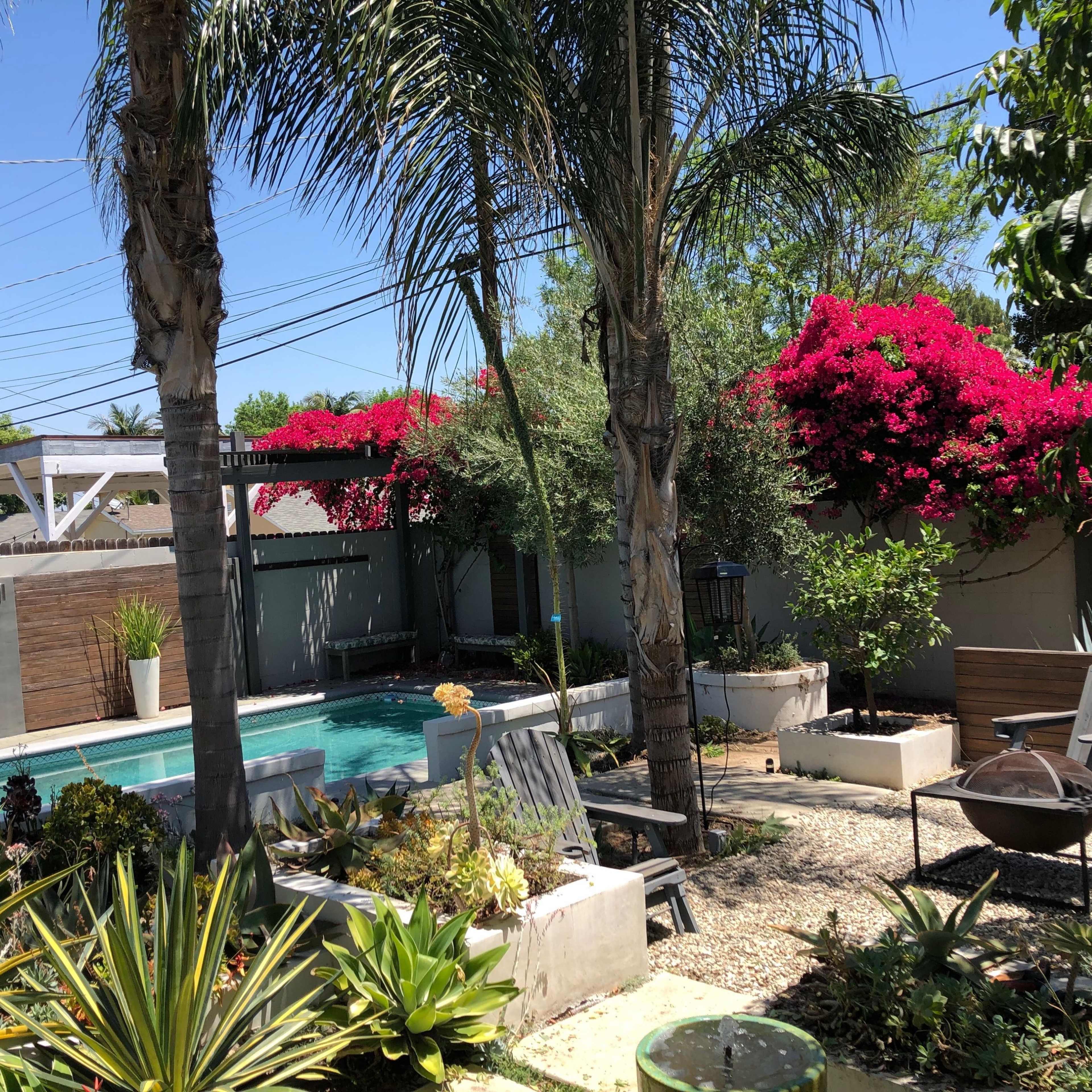 A backyard features a pool surrounded by palm trees and flowering plants, with seating areas and decorative pots.