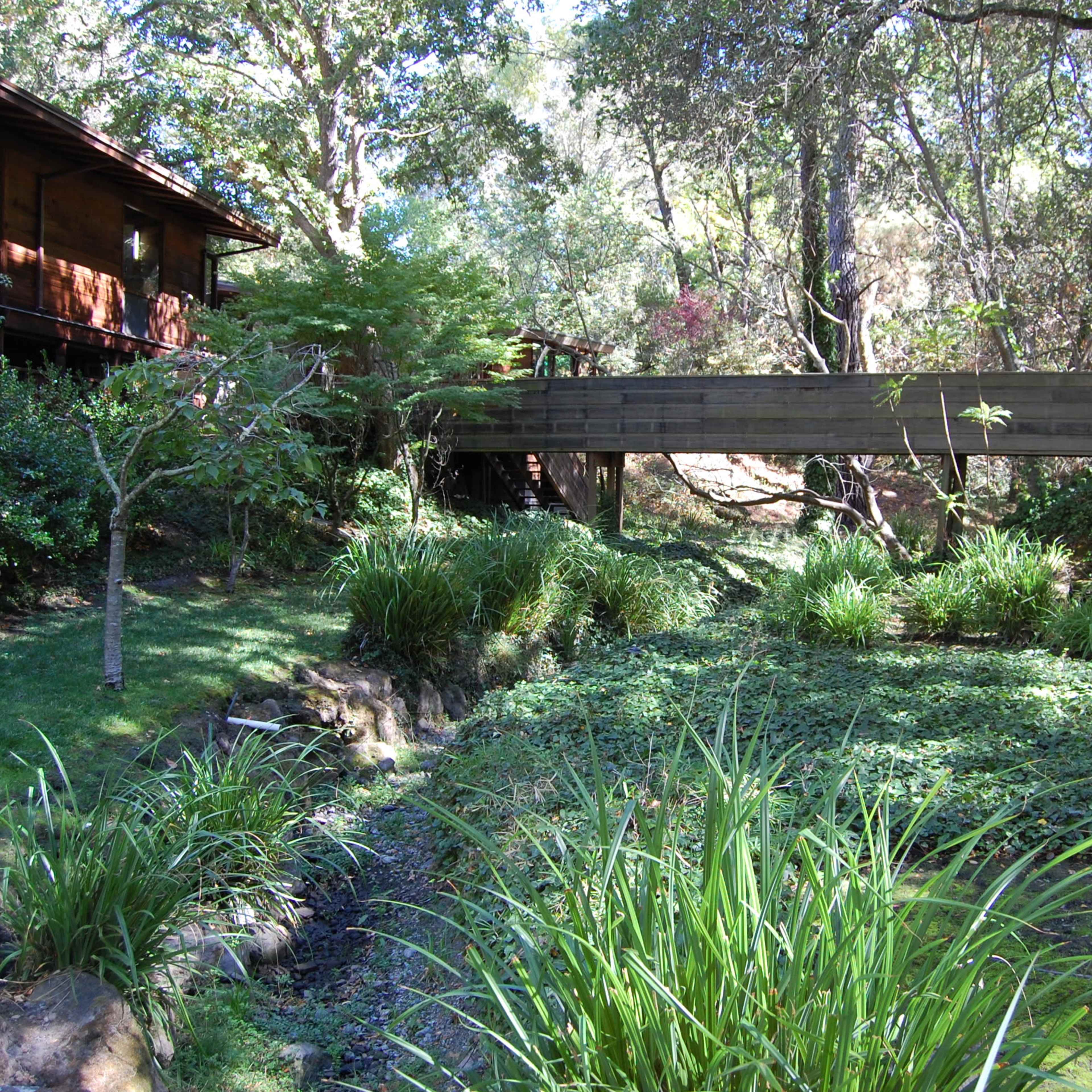 A wooden bridge spans a narrow creek surrounded by greenery and trees.