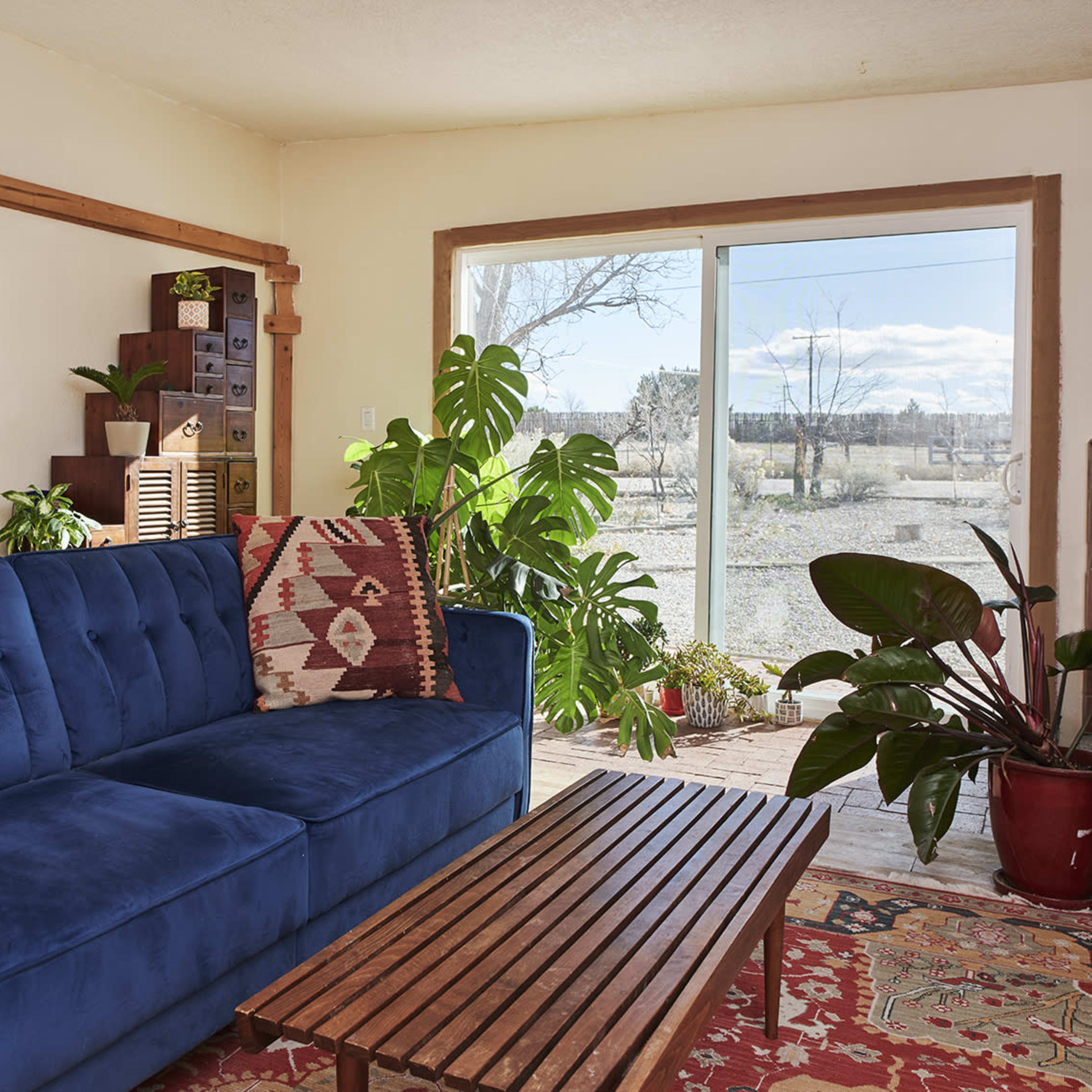 A blue couch is positioned in a bright living room with a wooden coffee table and large windows overlooking an outdoor area filled with plants.