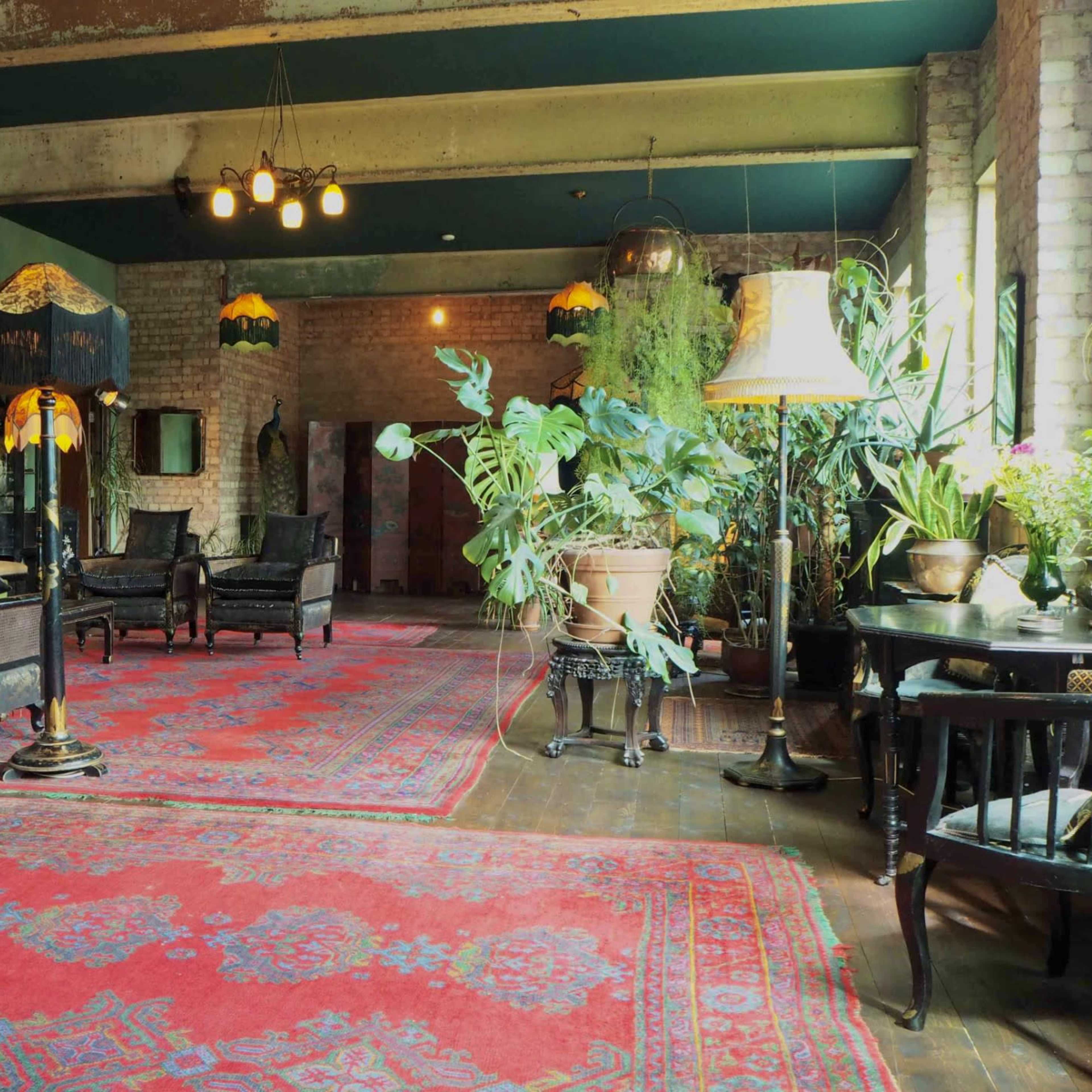 A spacious room with vintage furniture, plants, and ornate lighting fixtures, featuring a large patterned rug on the wooden floor.