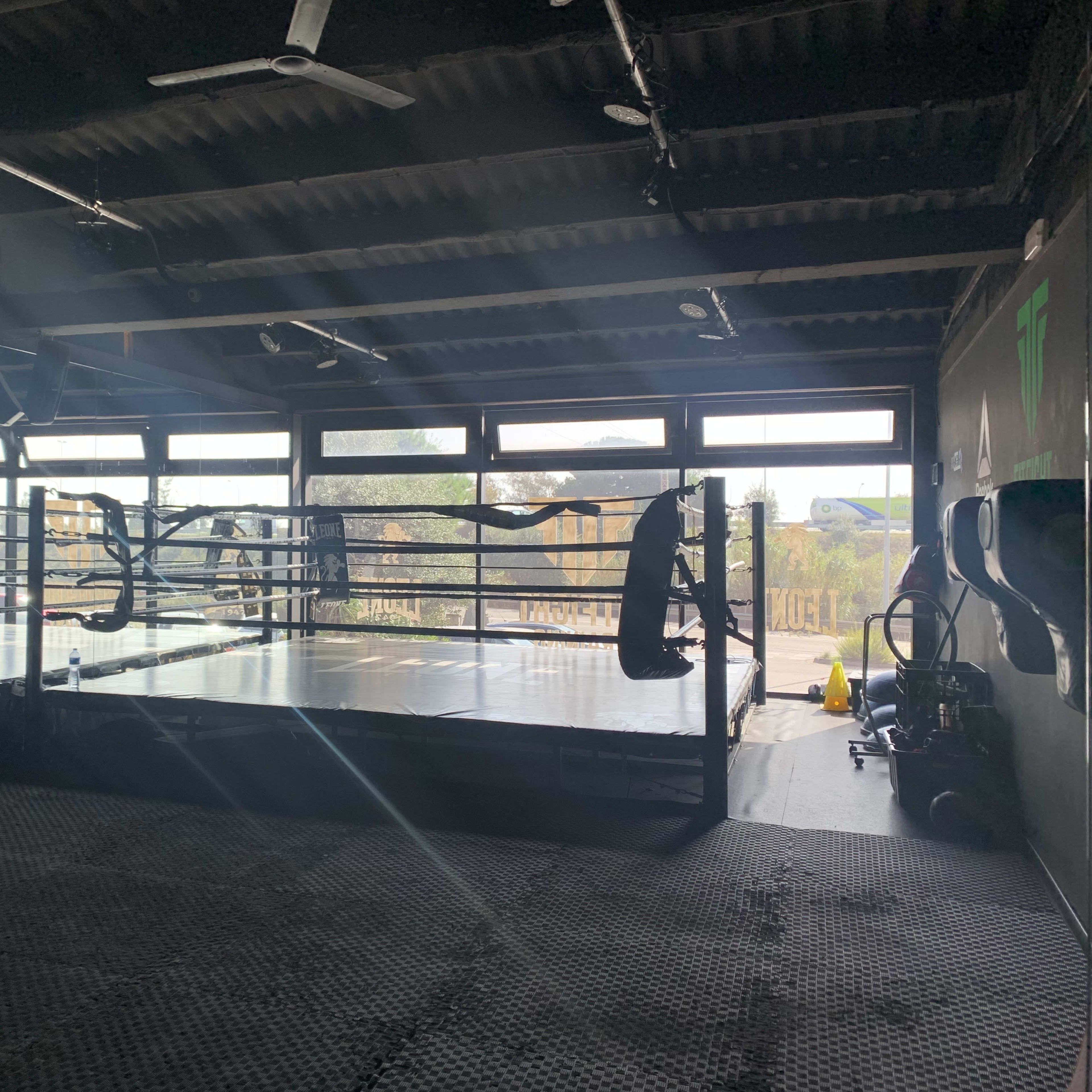 A boxing gym with a boxing ring illuminated by sunlight streaming through large windows.
