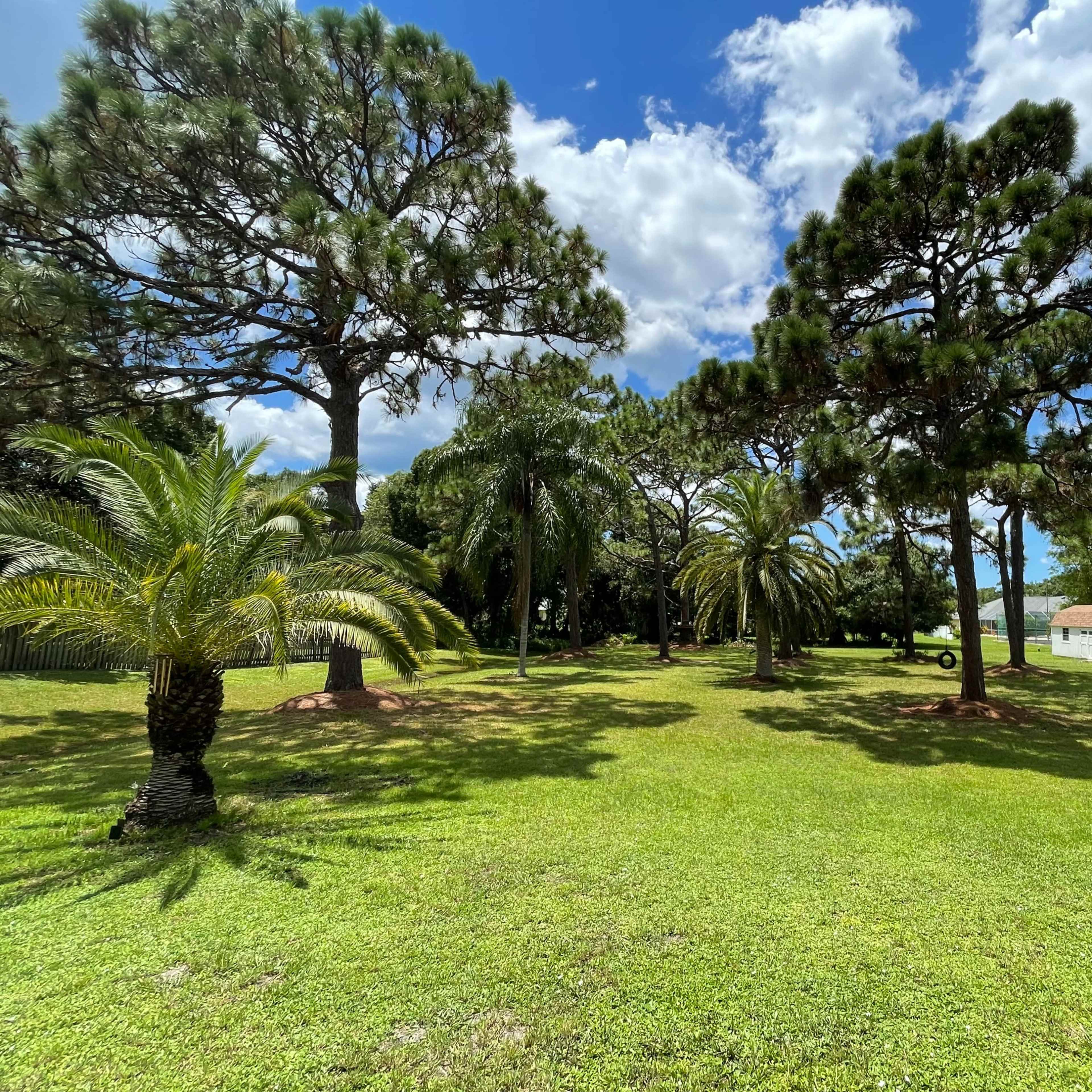 The scene features a grassy area surrounded by large trees, including palm and pine trees, with a small house in the background.