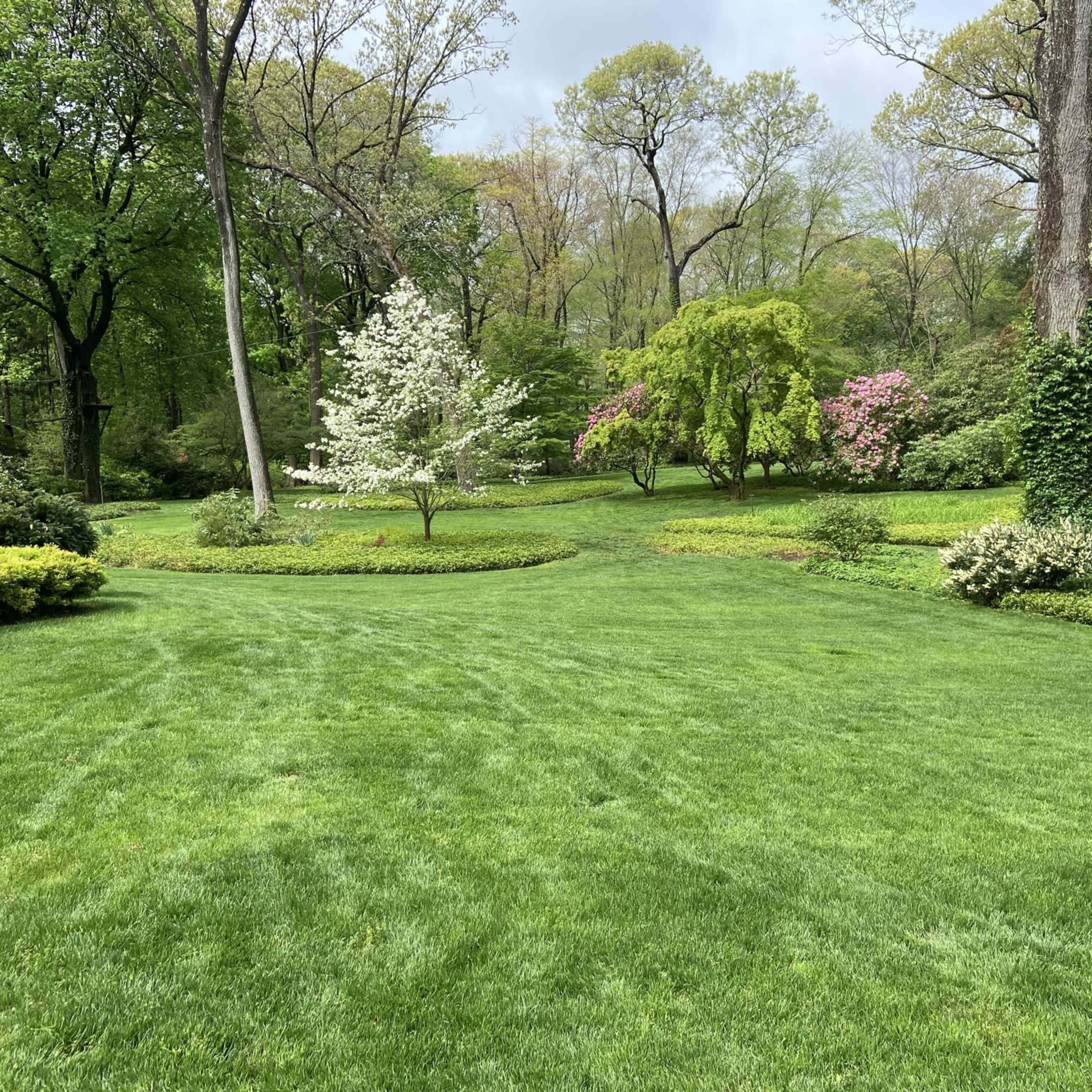 A manicured garden with lush green grass, several trees, and blooming flowers amidst a well-defined landscape.