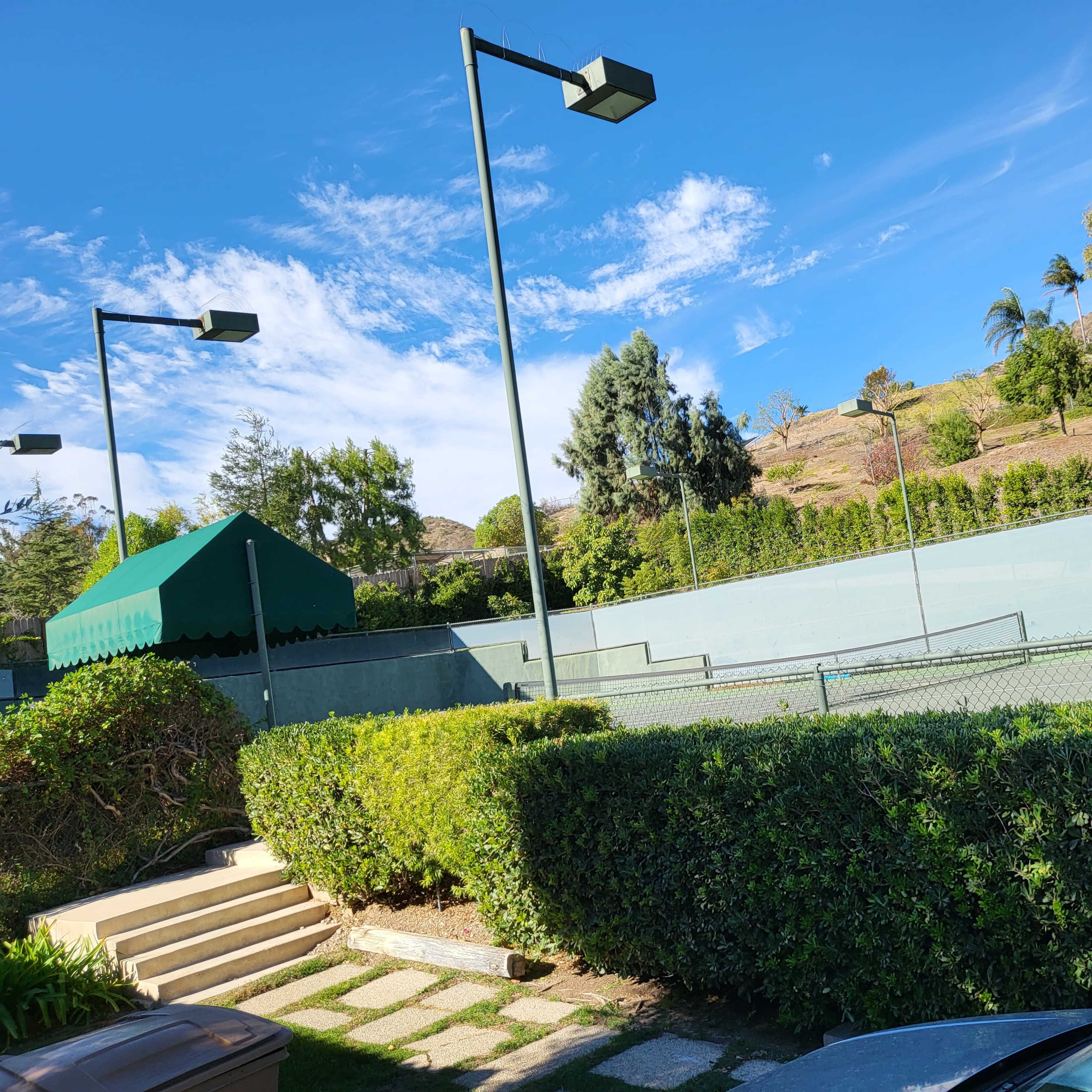 A green tennis court is surrounded by neatly trimmed hedges and shaded by tall posts with lights, set against a hillside with trees.