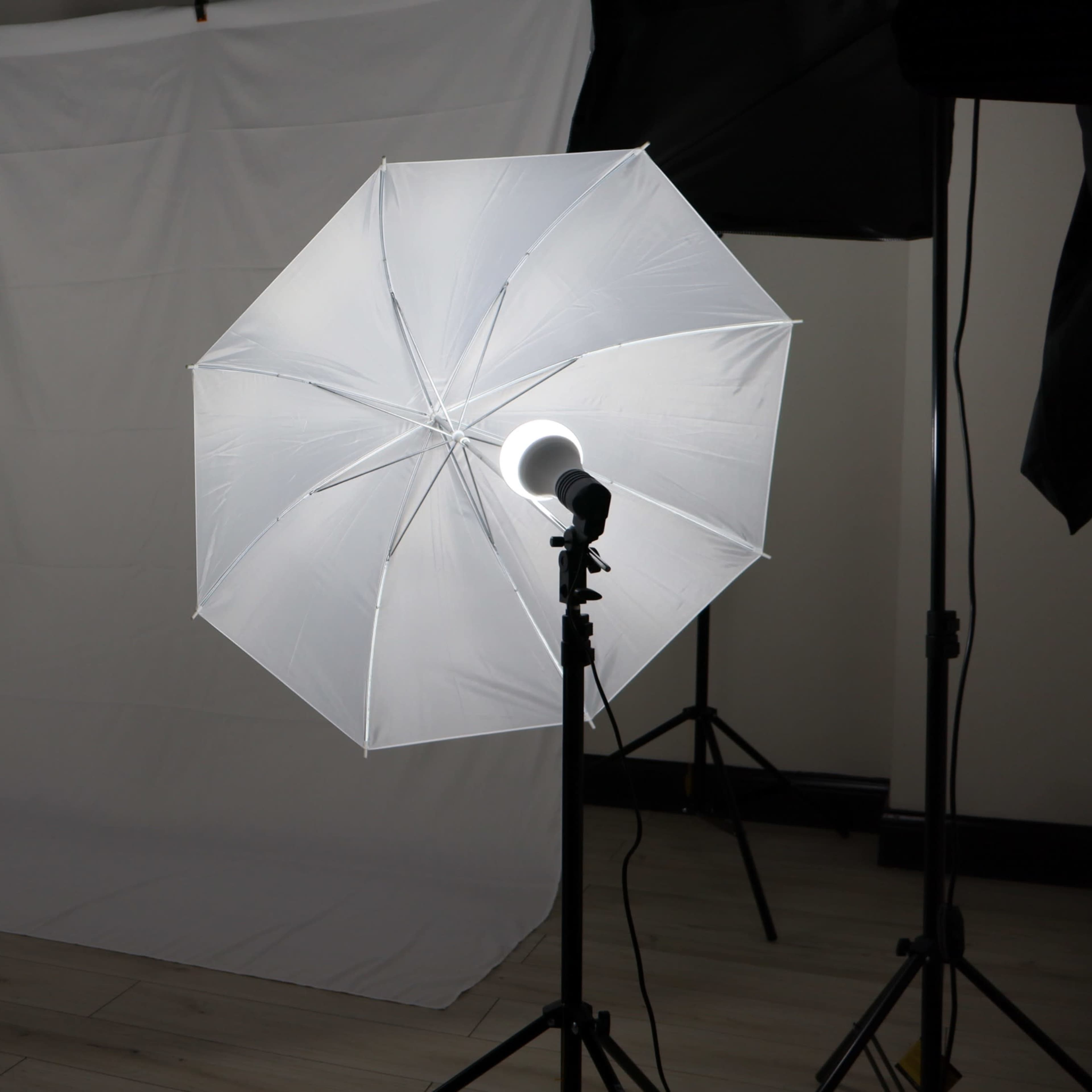 Modern Suburban Studio with Bright Natural Light Image in Proviso Township, Westchester, IL