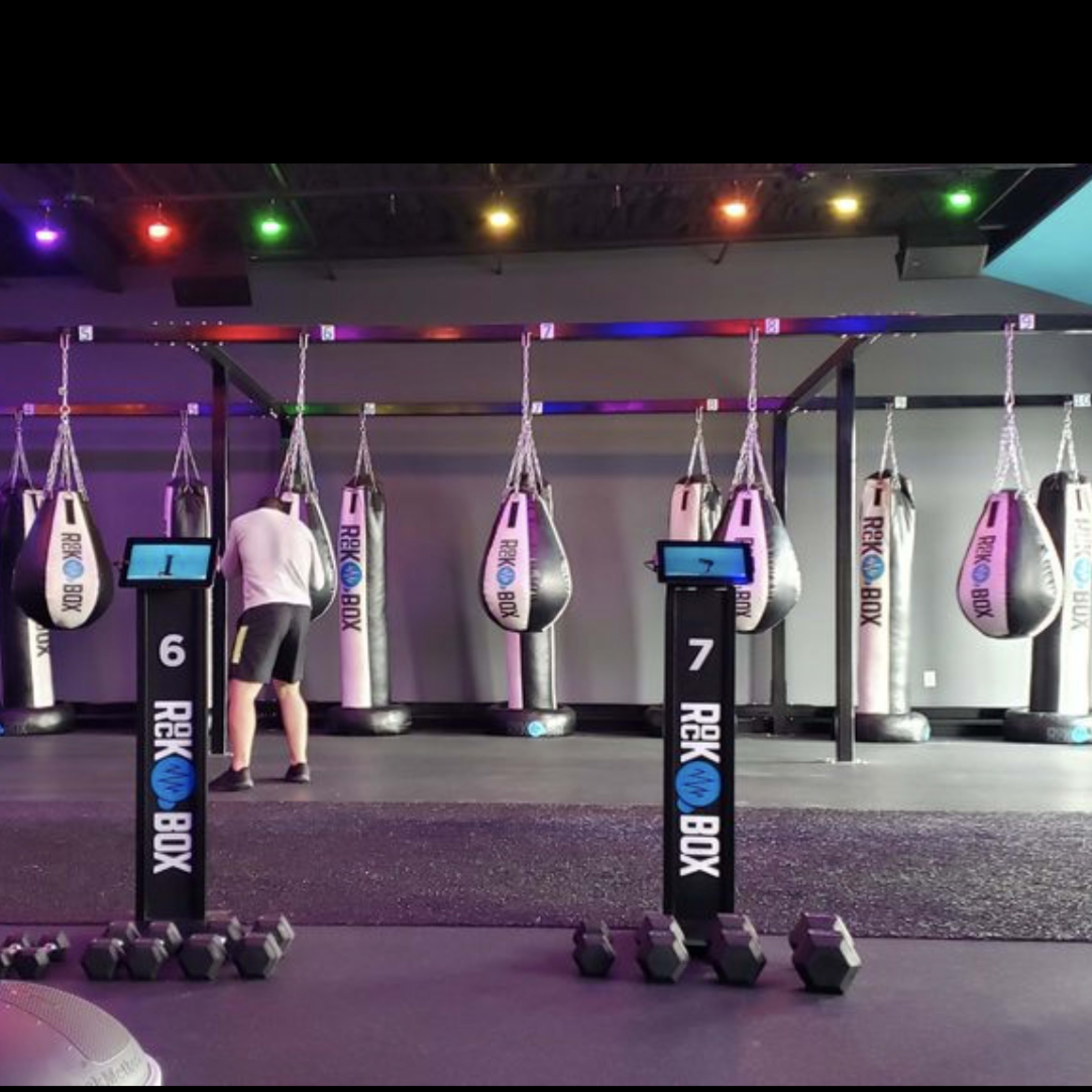 A fitness studio features multiple boxing bags suspended from the ceiling, with numbered stations in front of them.