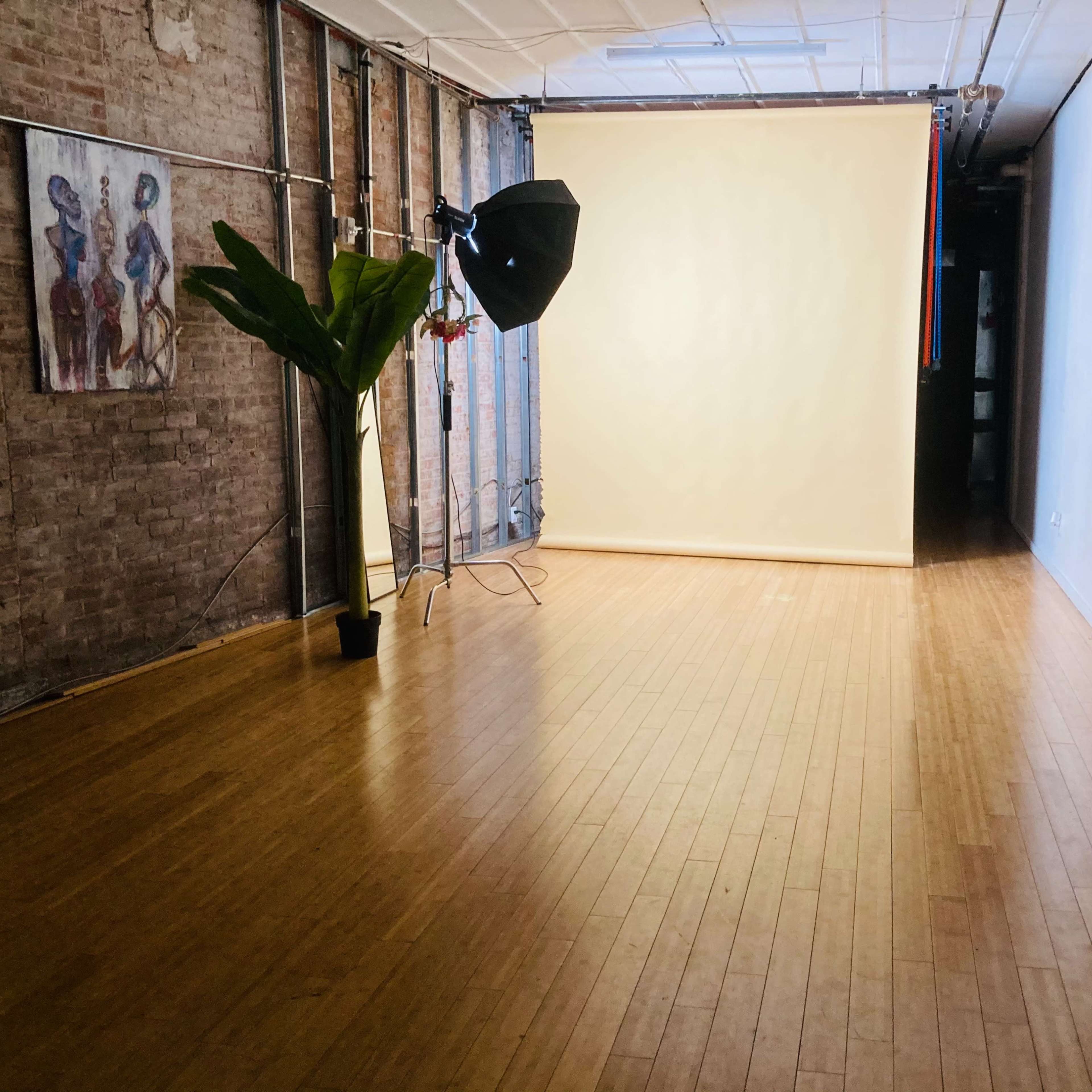A photography studio with wooden floors, a light setup facing a blank backdrop, and a potted plant in one corner.