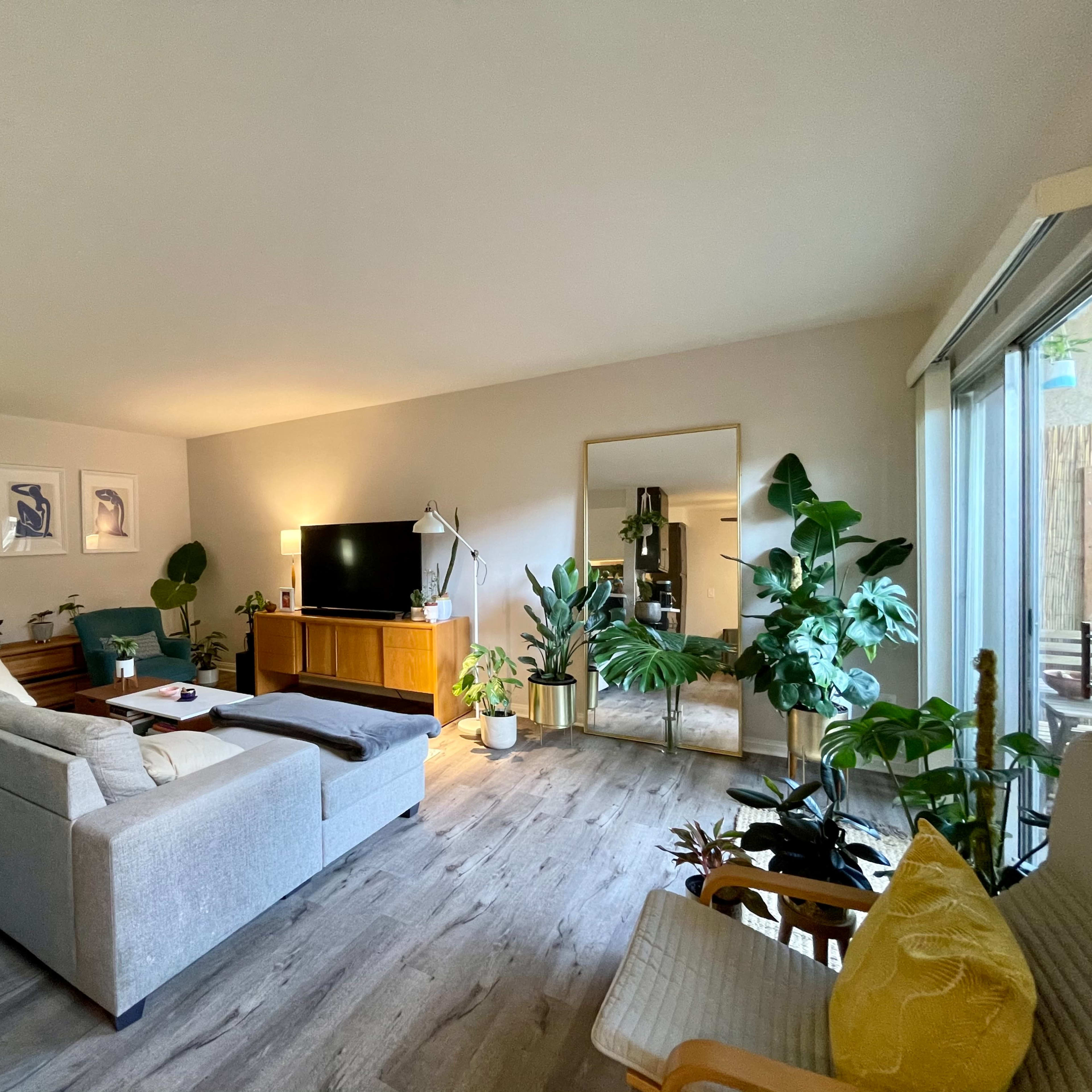 A modern living room features a sectional couch, a wooden media console, various indoor plants, and large windows providing natural light.