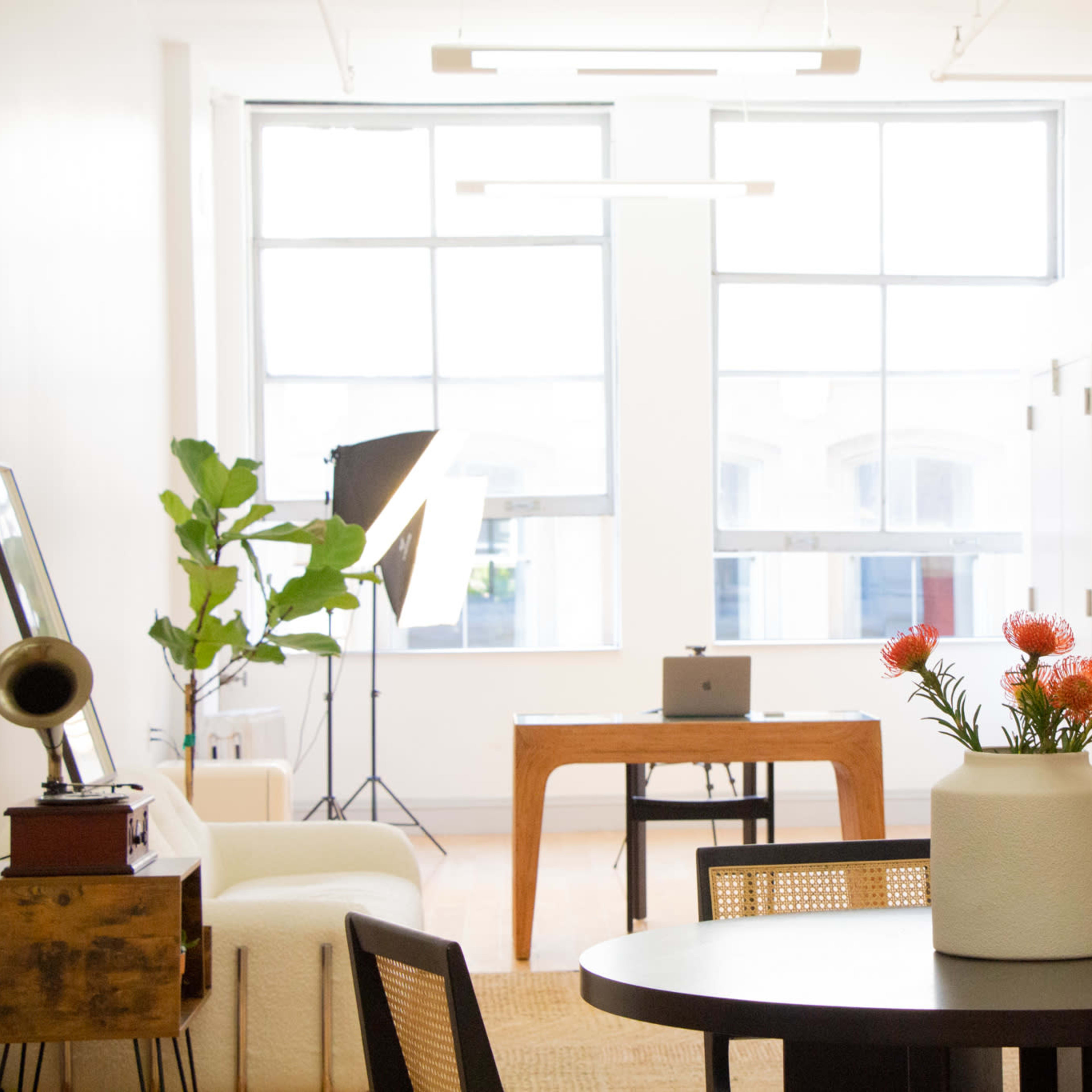 A bright, modern office space with a wooden table, a laptop on it, a vase of flowers on a round table, and a standing plant in the corner.