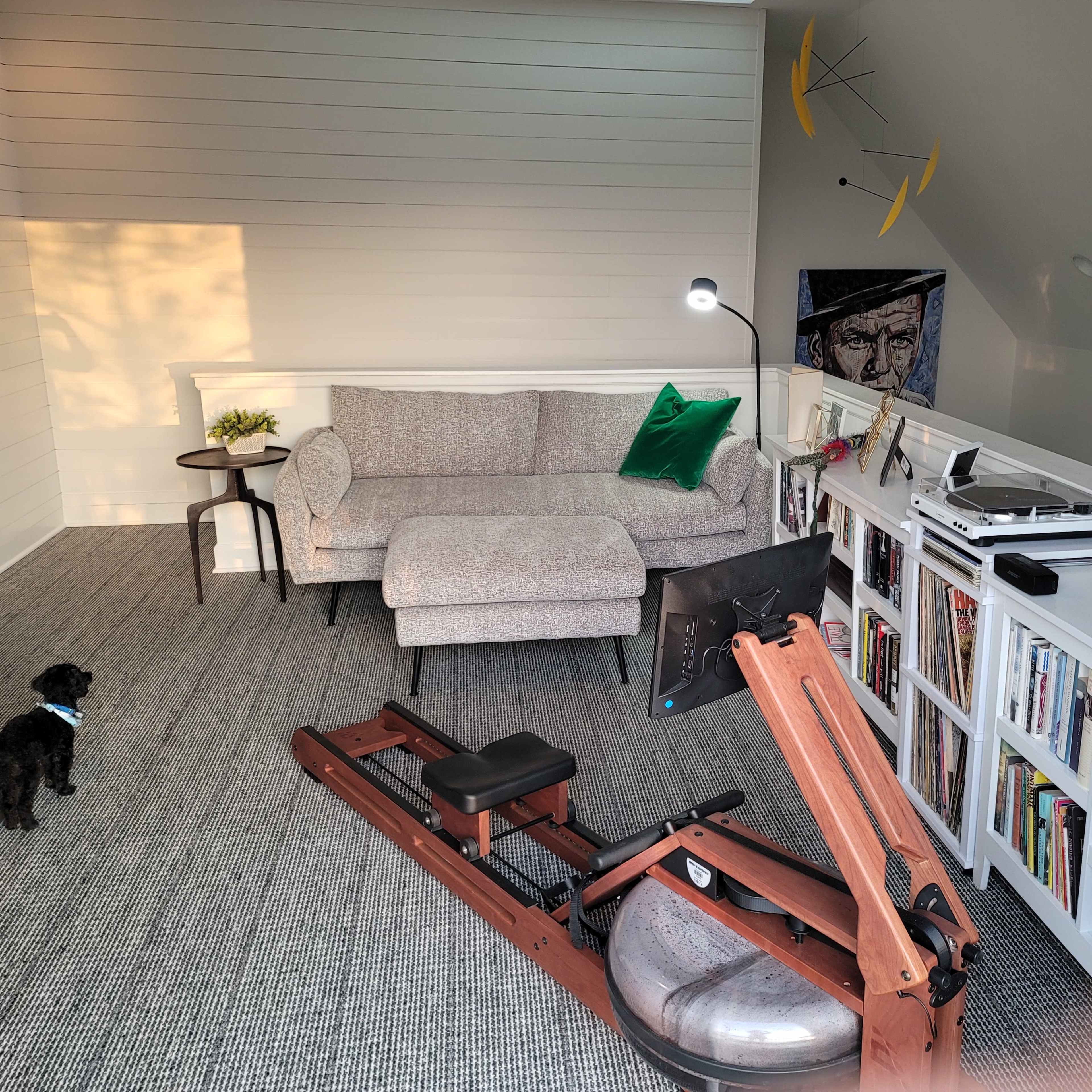 A cozy room featuring a gray couch, a wooden rowing machine, a bookshelf filled with books, and a small decorative plant, with a dog standing nearby.