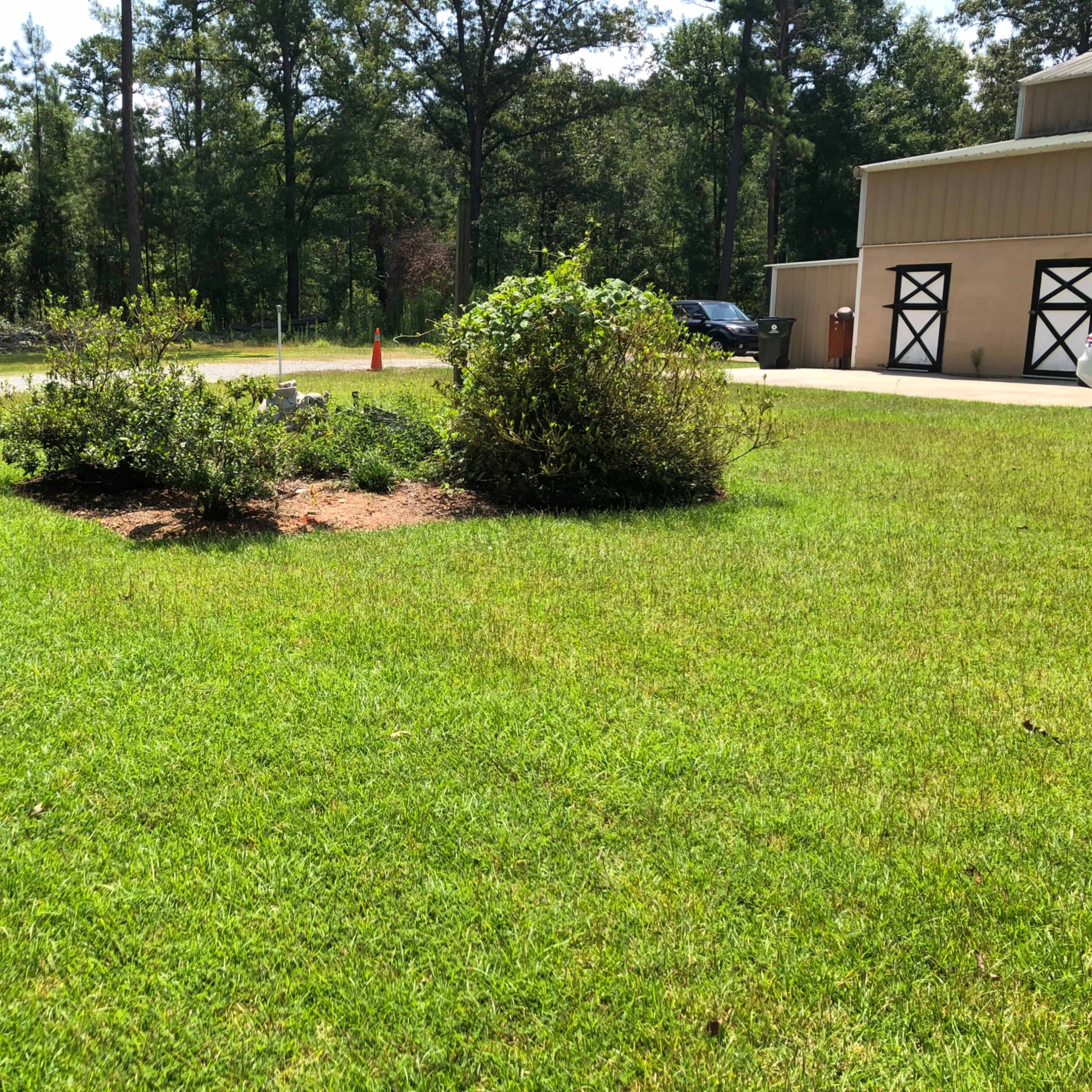 A small garden bed with shrubs is surrounded by a grassy lawn next to a building with a garage door.