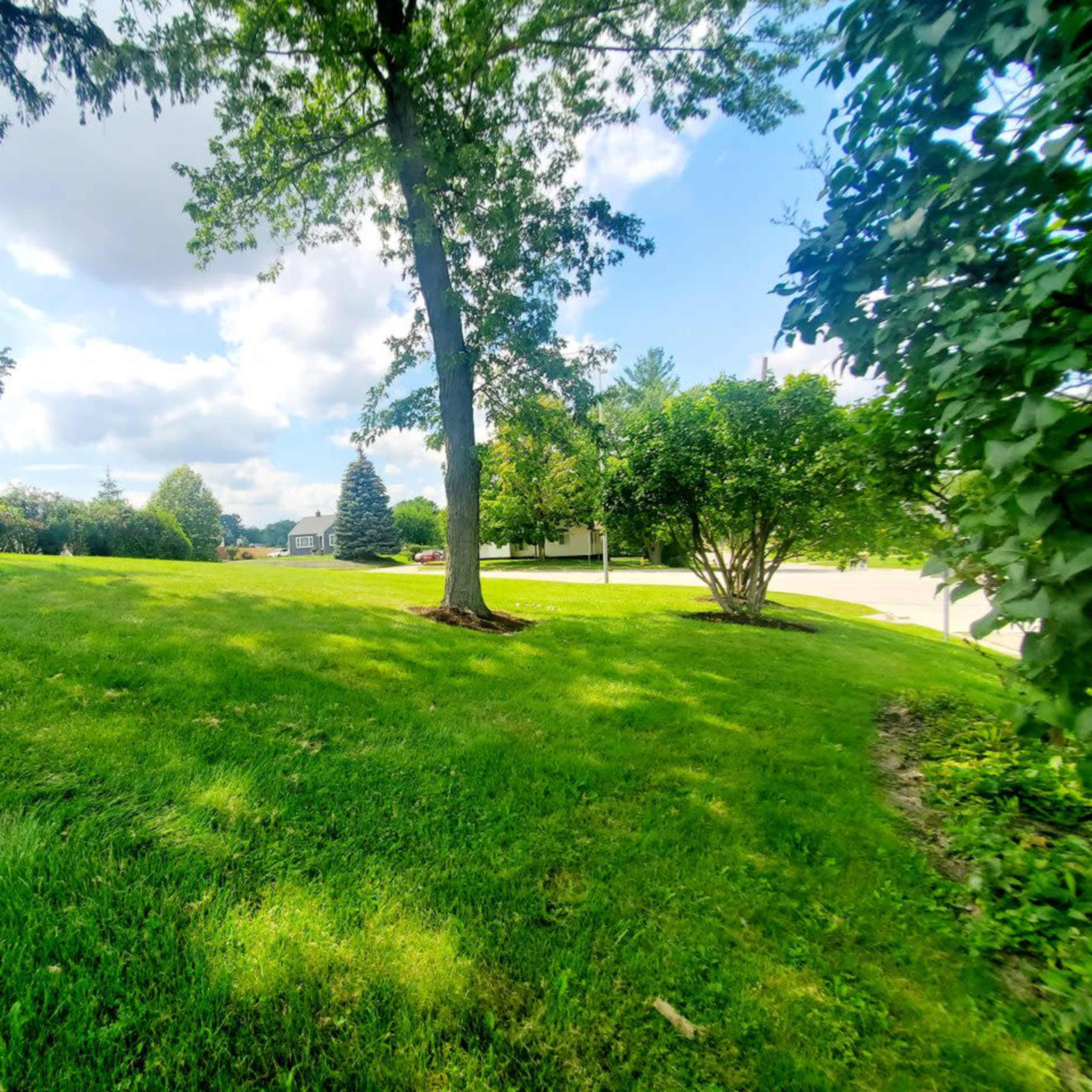 A grassy area with two trees on either side and a view of houses in the distance under a partly cloudy sky.