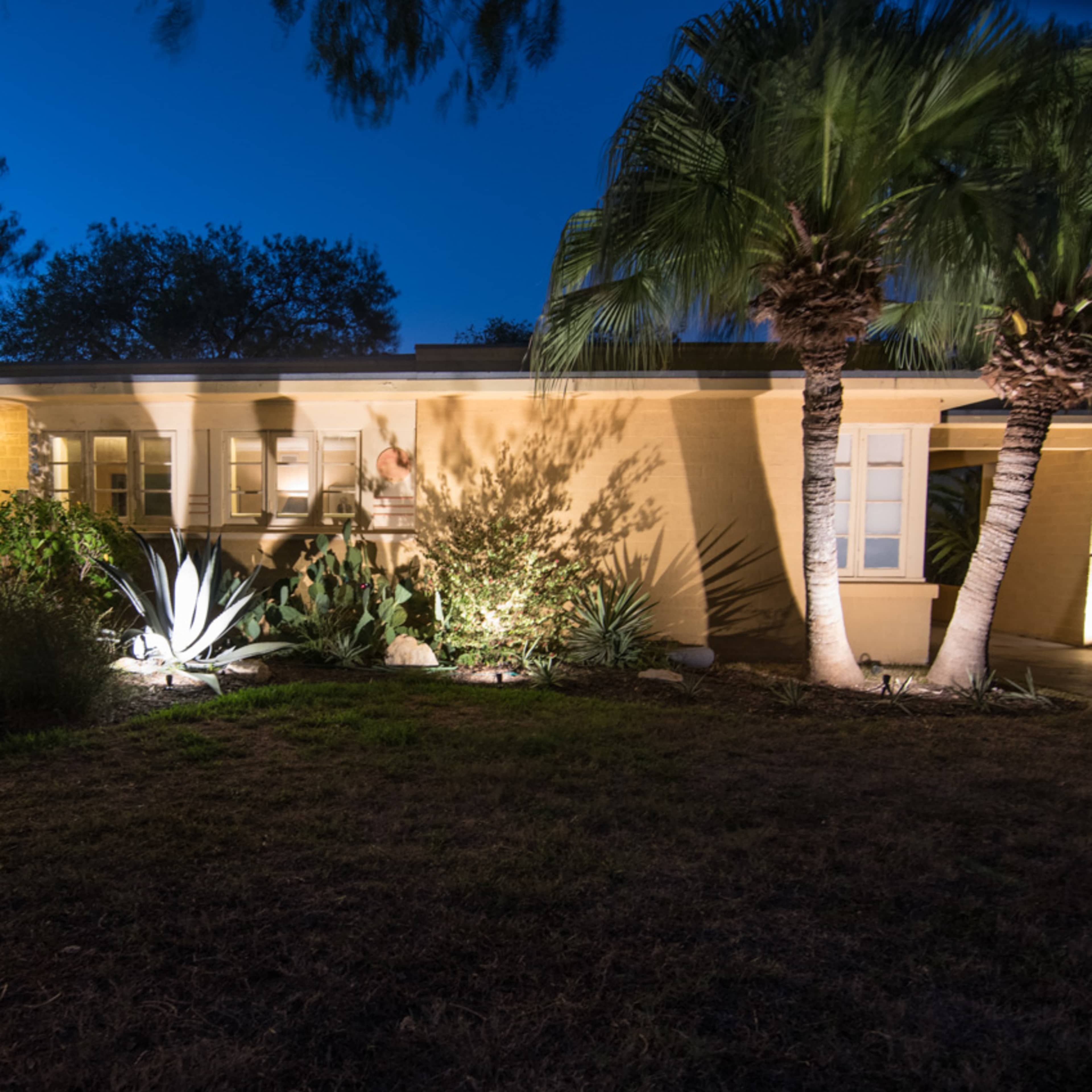 A yellow house is illuminated at night, surrounded by various plants and palm trees, with a brick pathway leading to the front door.