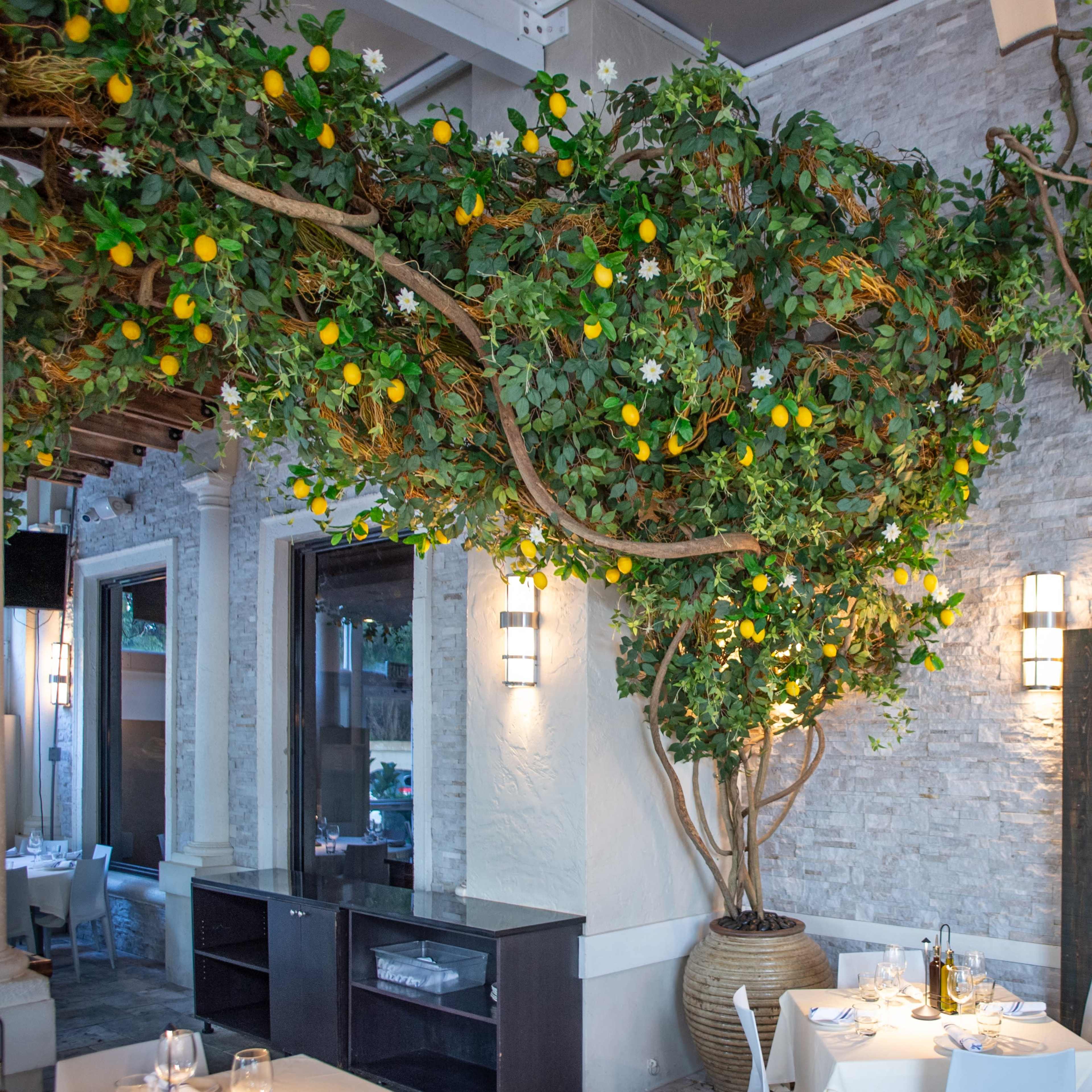 Spacious Covered Patio for Elegant Dinners & Rehearsals in Delray Image in , Delray Beach, FL