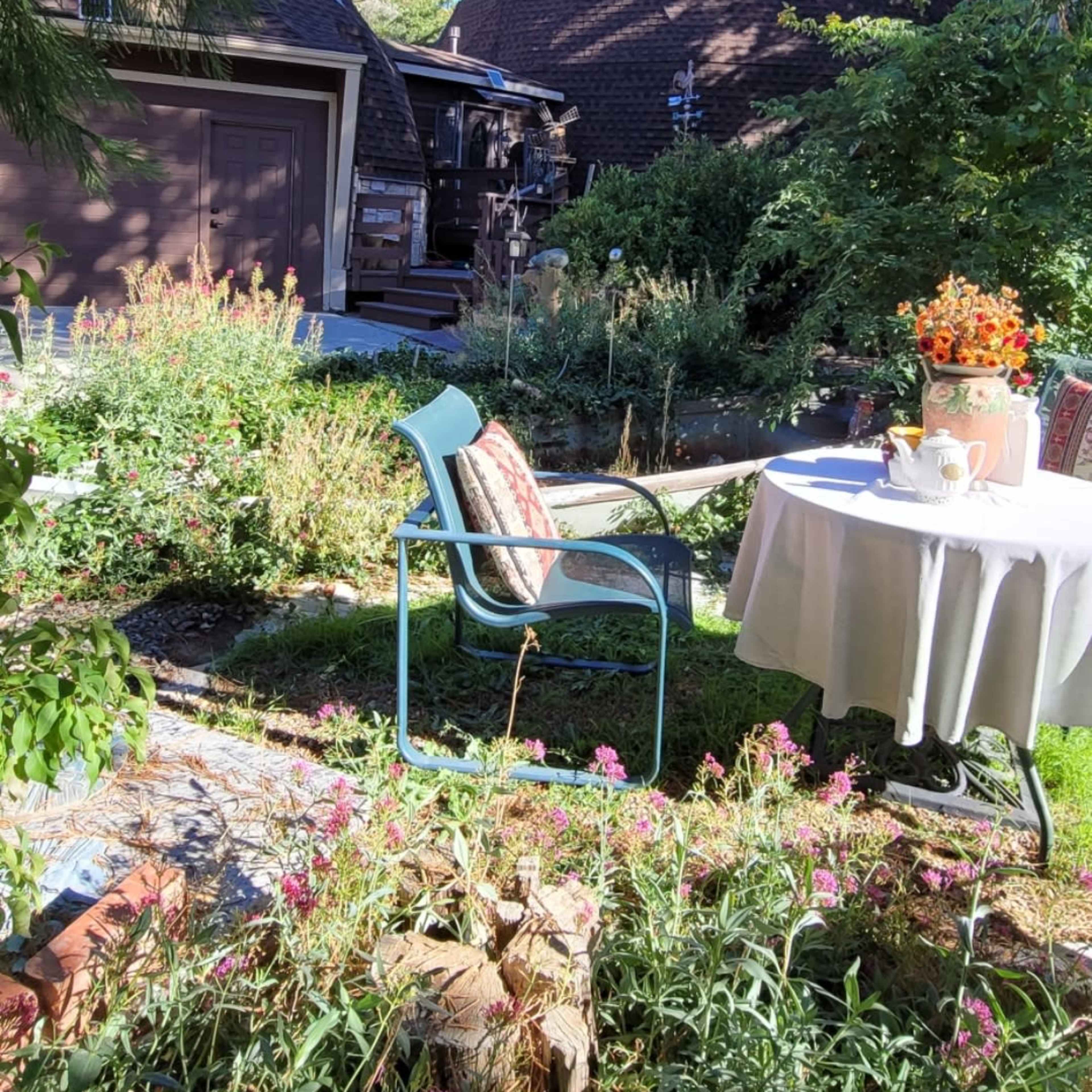 A patio area with a table set for tea and a chair sits in a garden surrounded by various plants and a garage in the background.