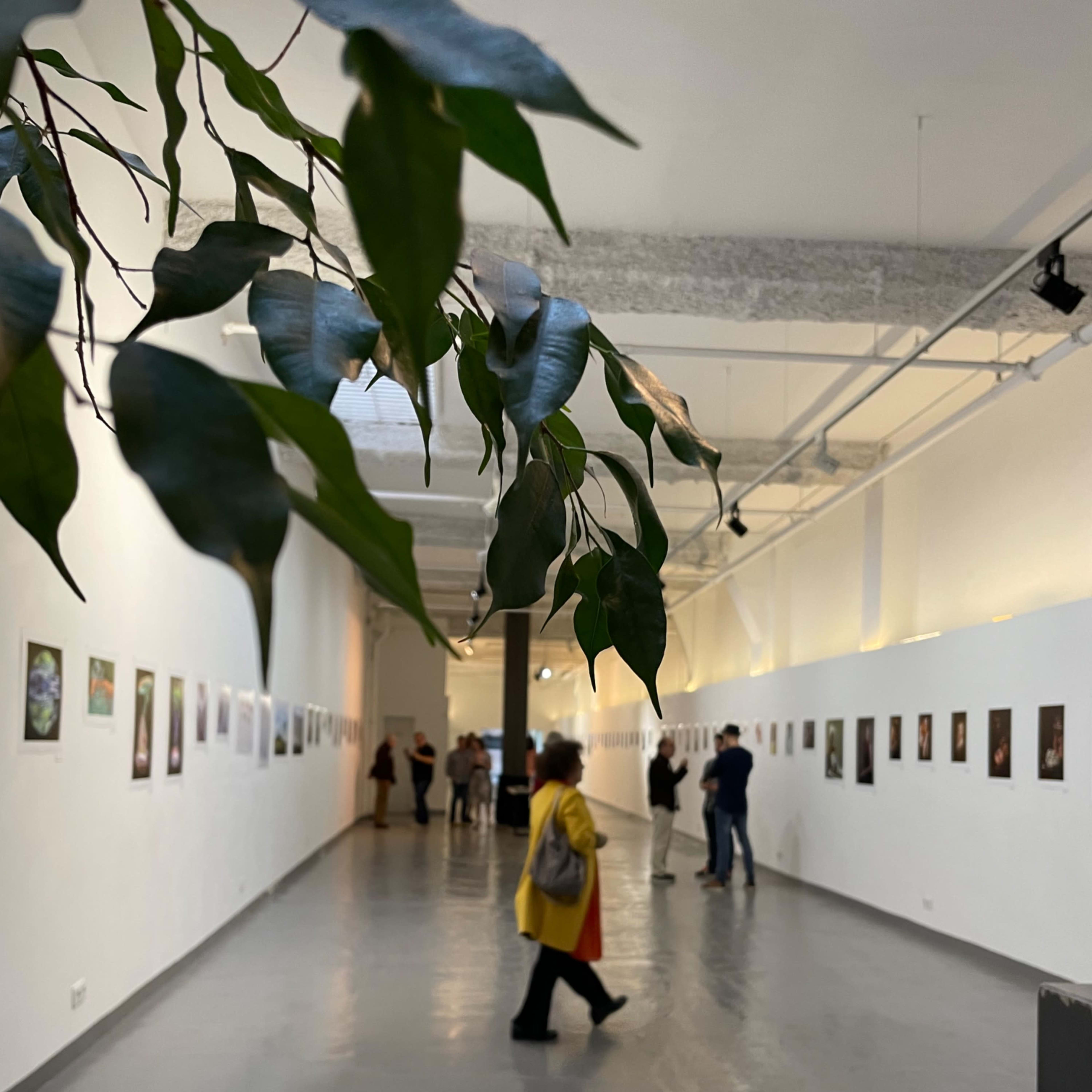 A person in a yellow coat walks through a gallery with framed artworks displayed along the white walls.