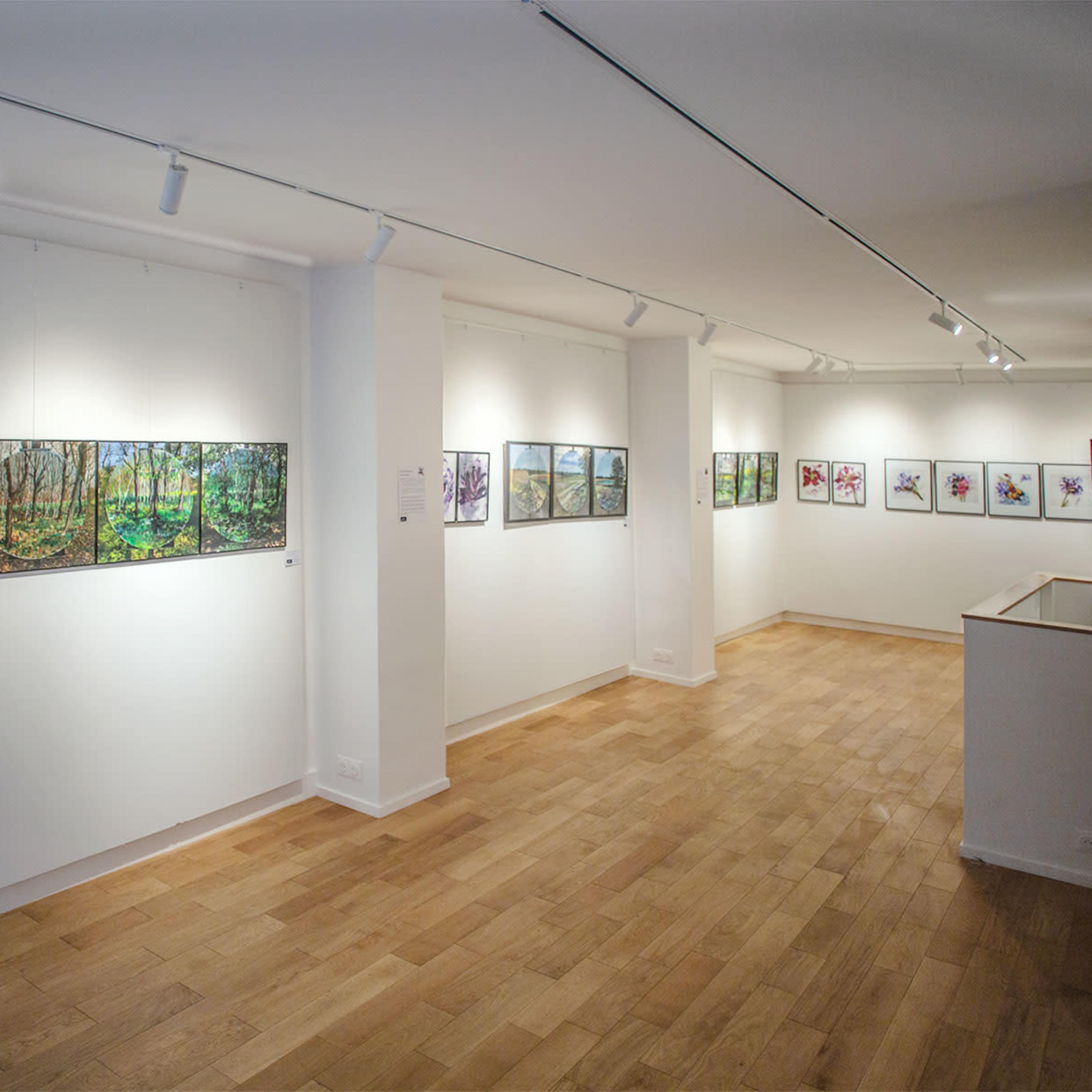 An art gallery with several framed paintings displayed on white walls and a wooden floor.