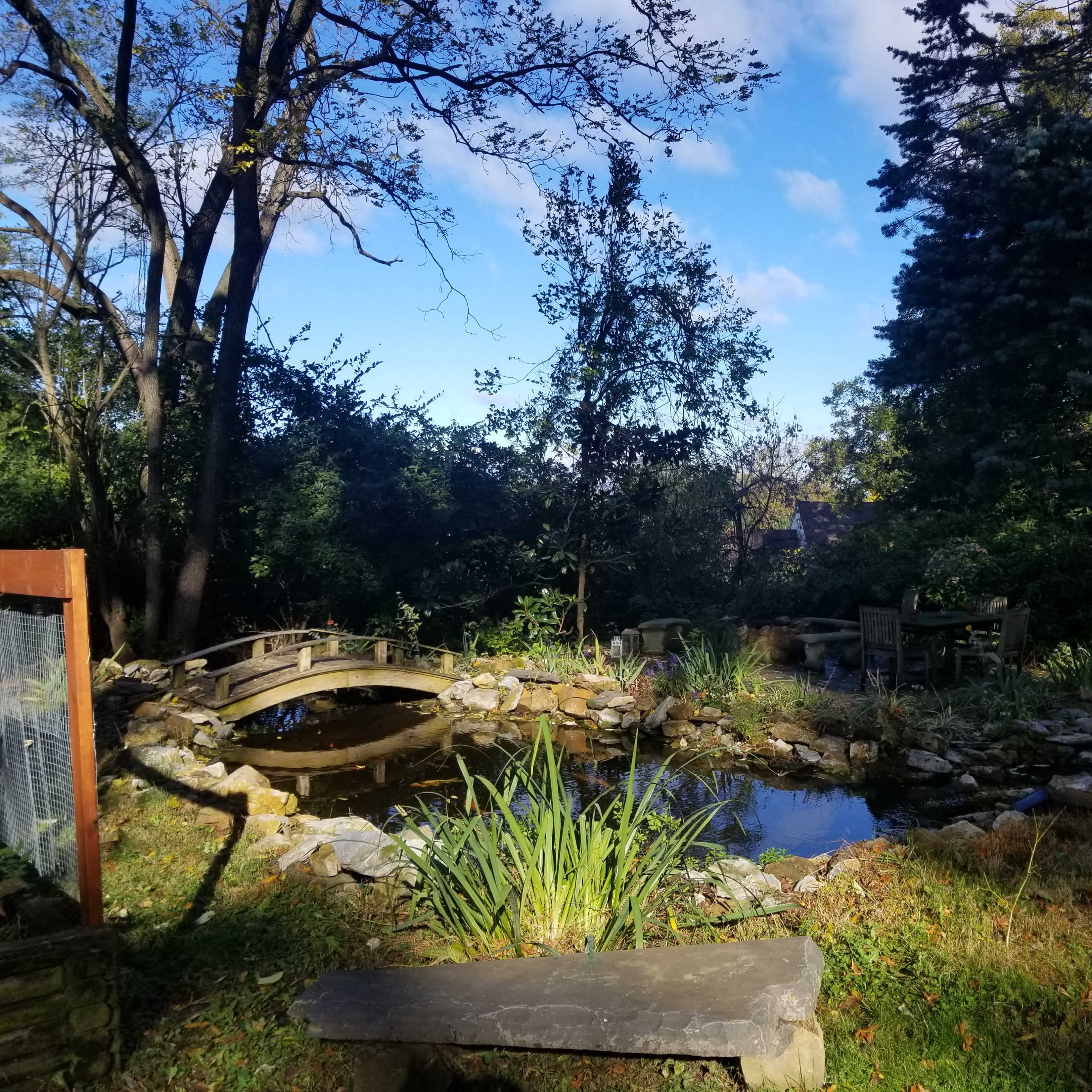 A tranquil garden scene featuring a small pond surrounded by rocks, with a wooden bridge arching over it and various plants along the edges.