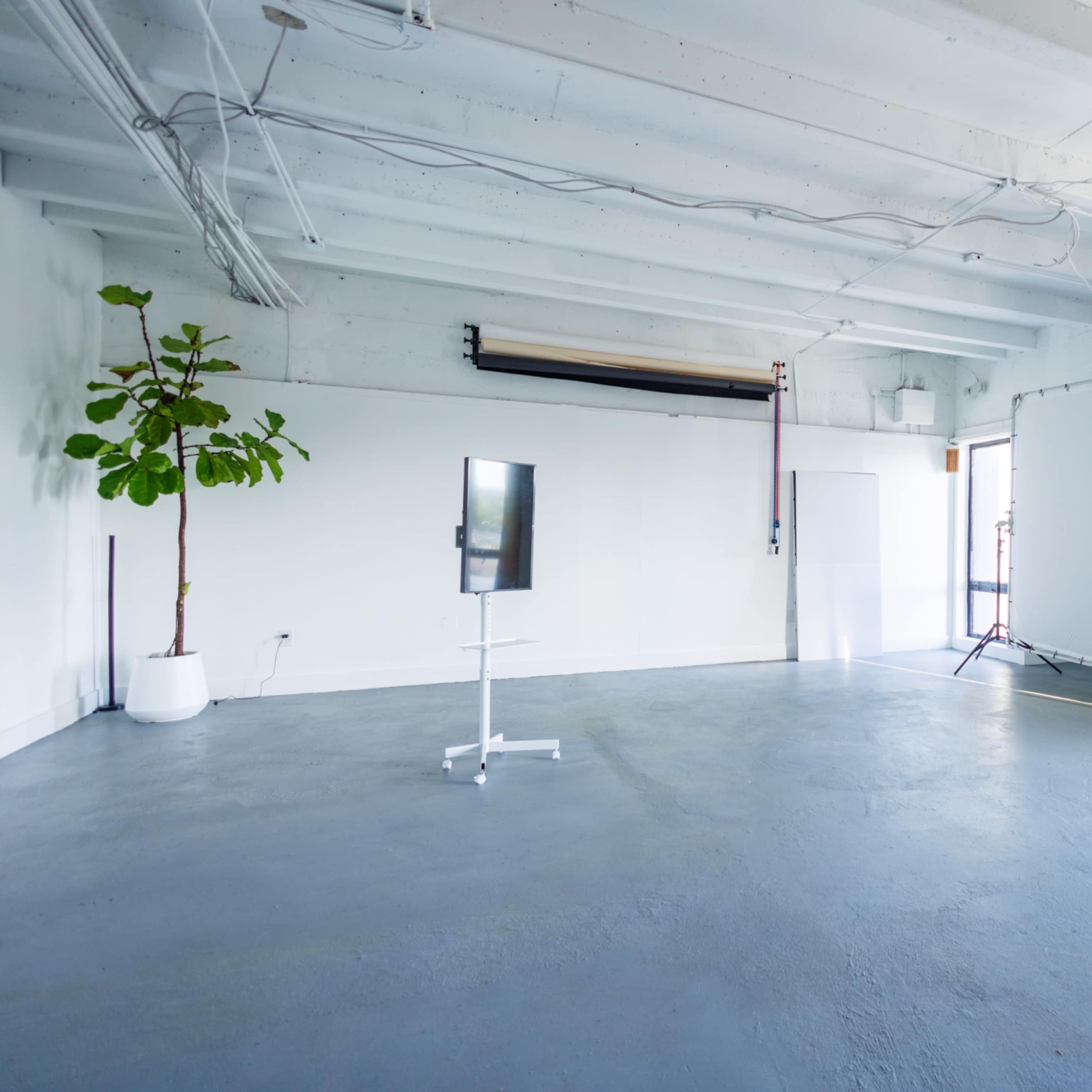 Natural Light Studio Image in North Miami Beach, North Miami Beach, FL