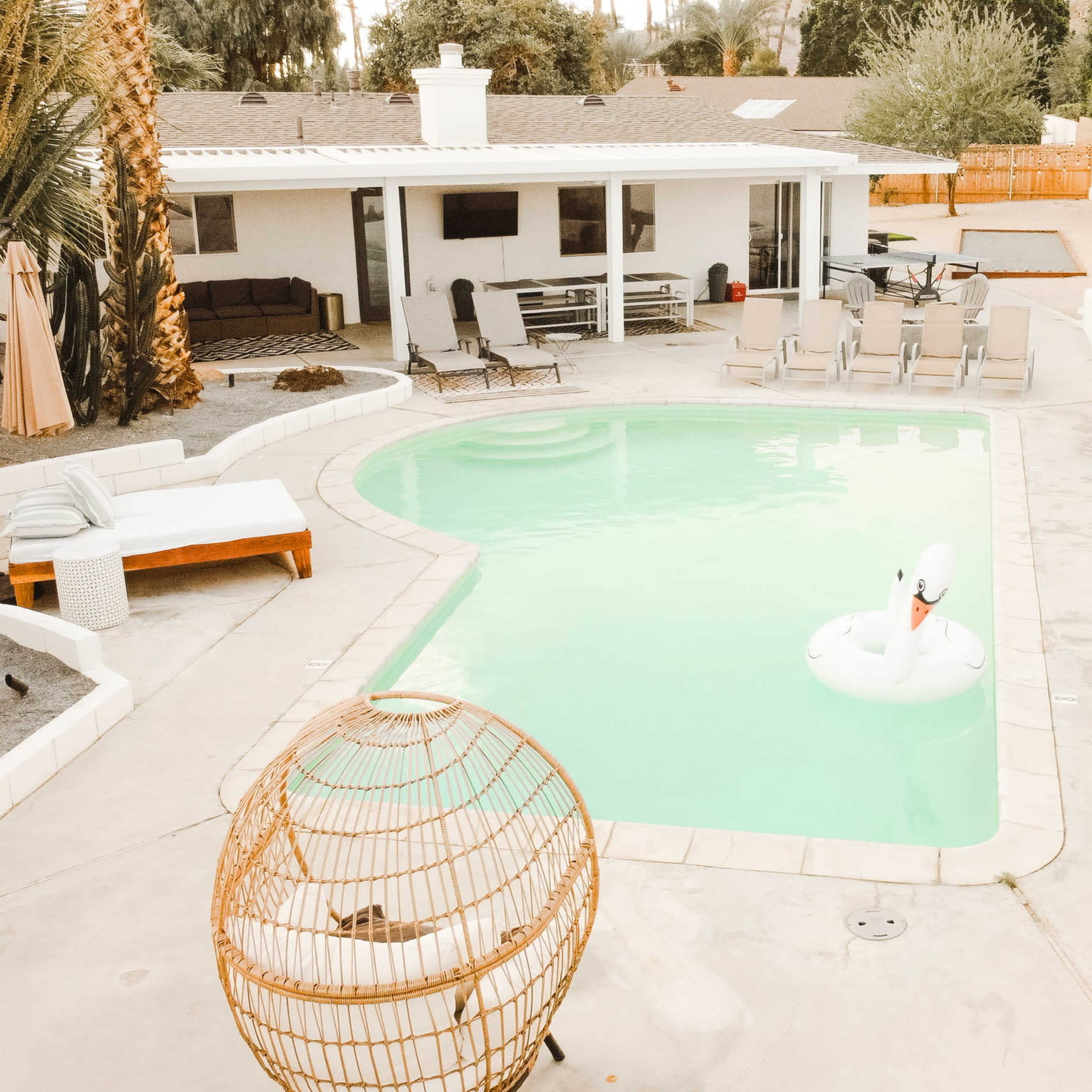 A backyard with a swimming pool surrounded by lounge chairs, a float in the shape of a swan, and desert landscaping.