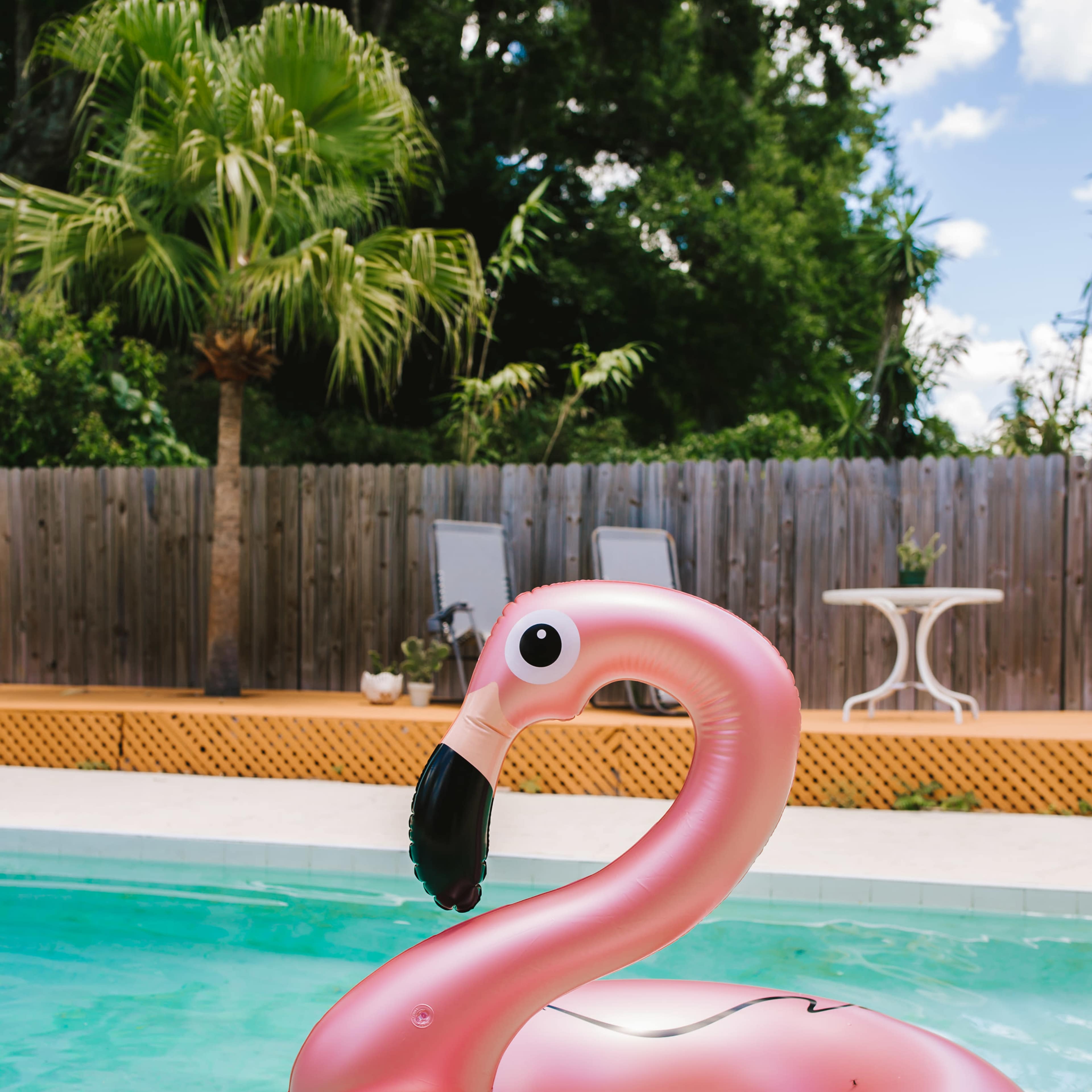A pink flamingo pool float is positioned in a swimming pool, with a palm tree and patio furniture visible in the background.