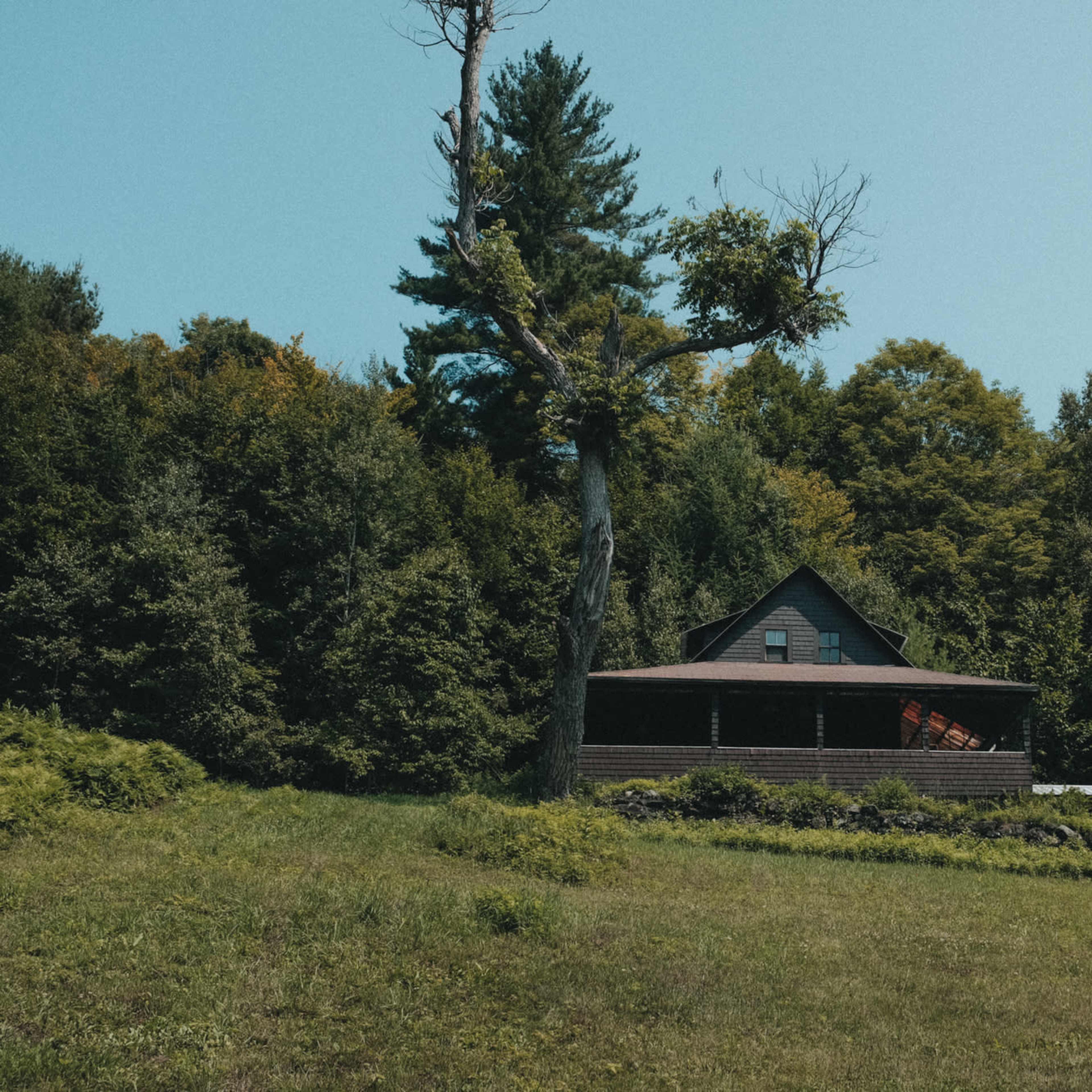 A wooden house is situated on a grassy hill surrounded by dense trees under a clear blue sky.