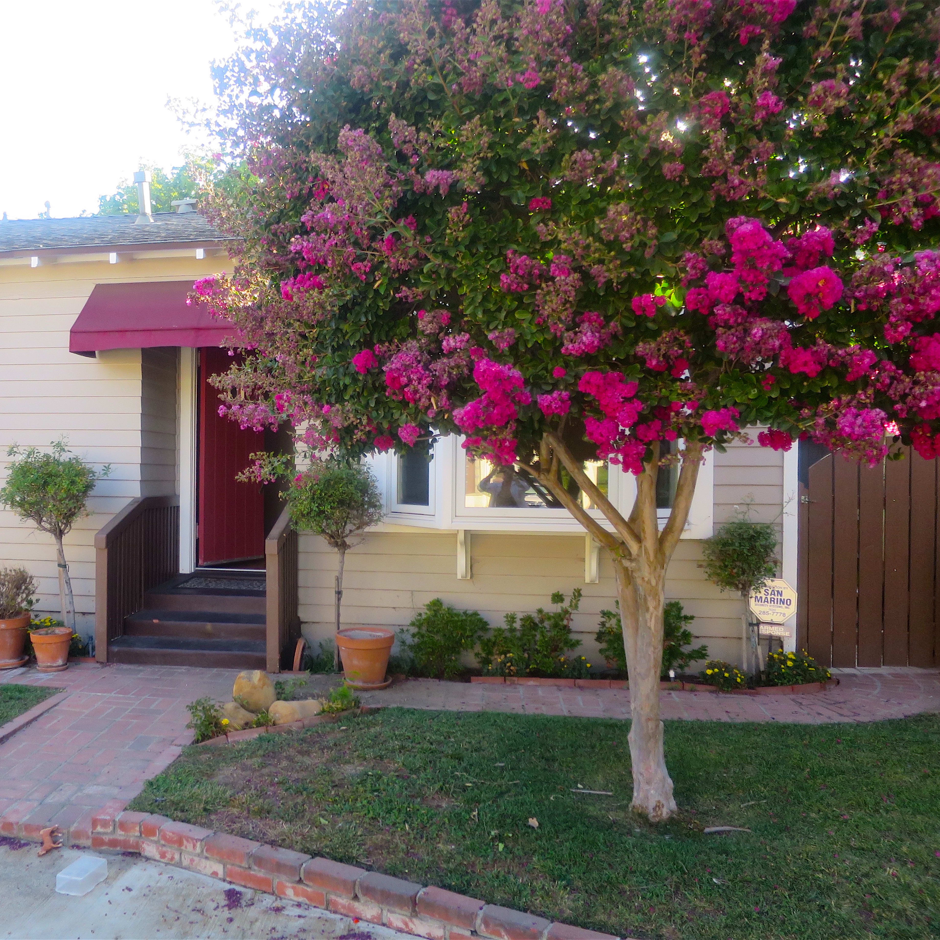 A small house with a red awning is flanked by blooming pink shrubs and potted plants along a brick walkway.