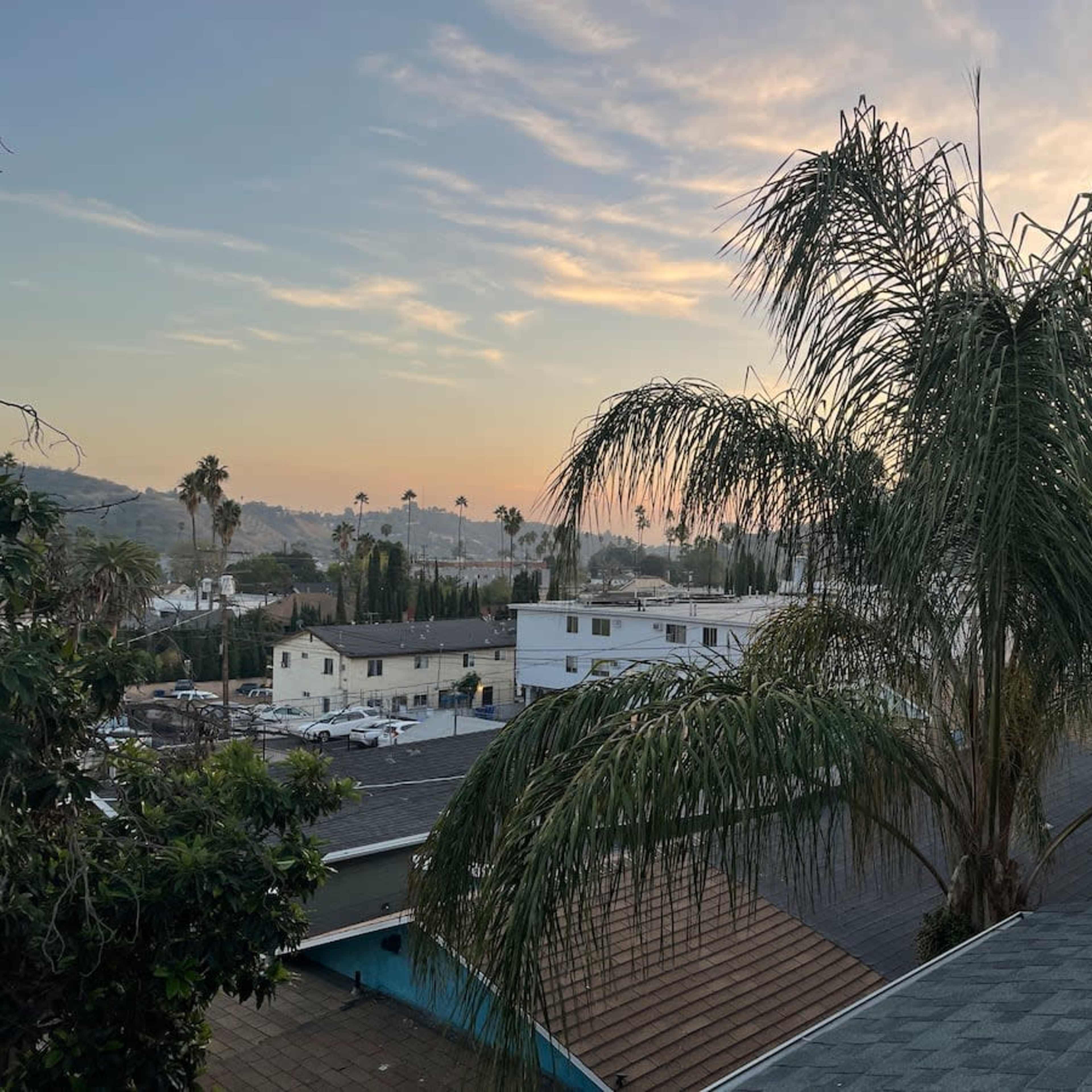 A sunset view with palm trees in the foreground overlooking rooftops and distant hills.