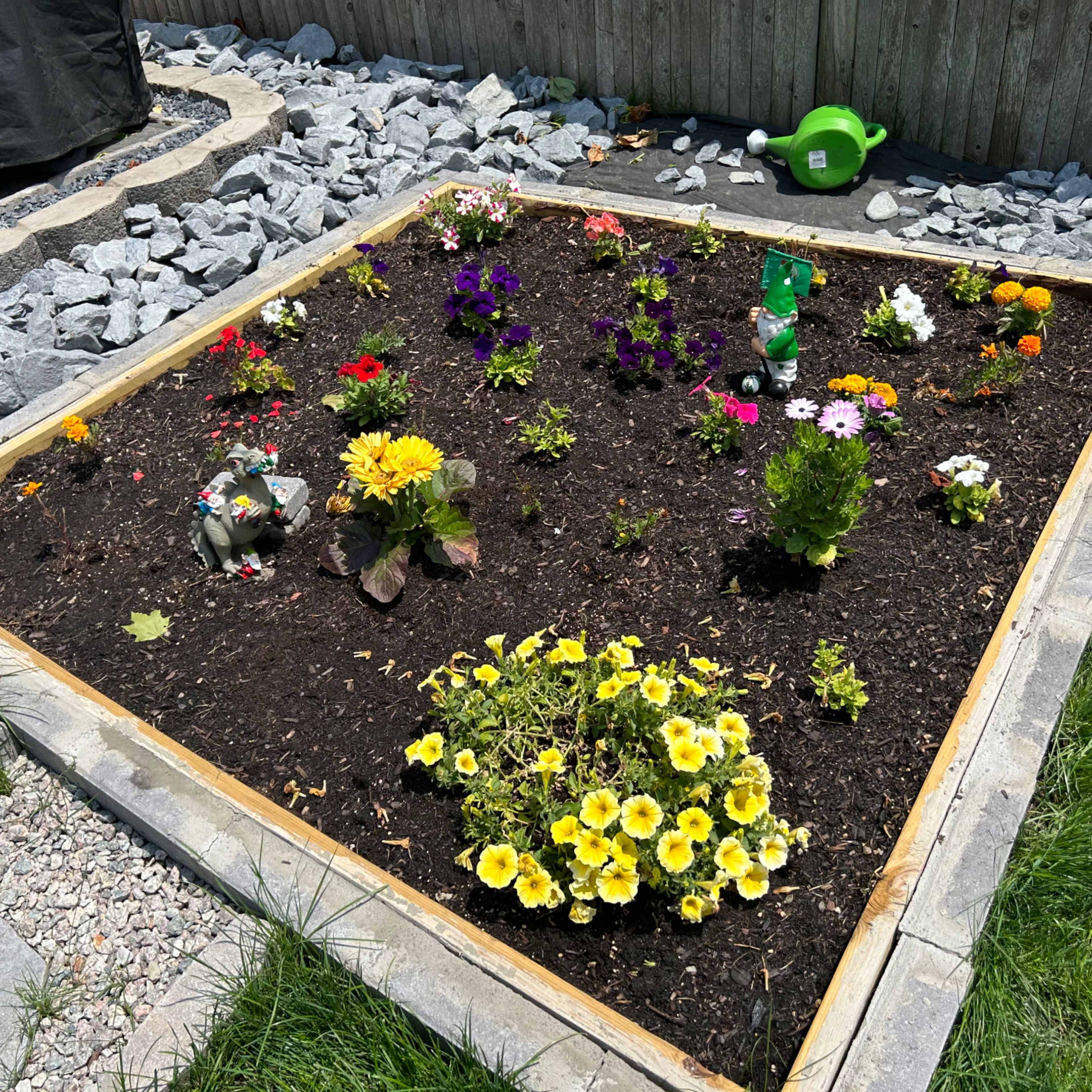 A rectangular flower bed filled with various colorful flowers is bordered by wooden planks and surrounded by gravel and grass.