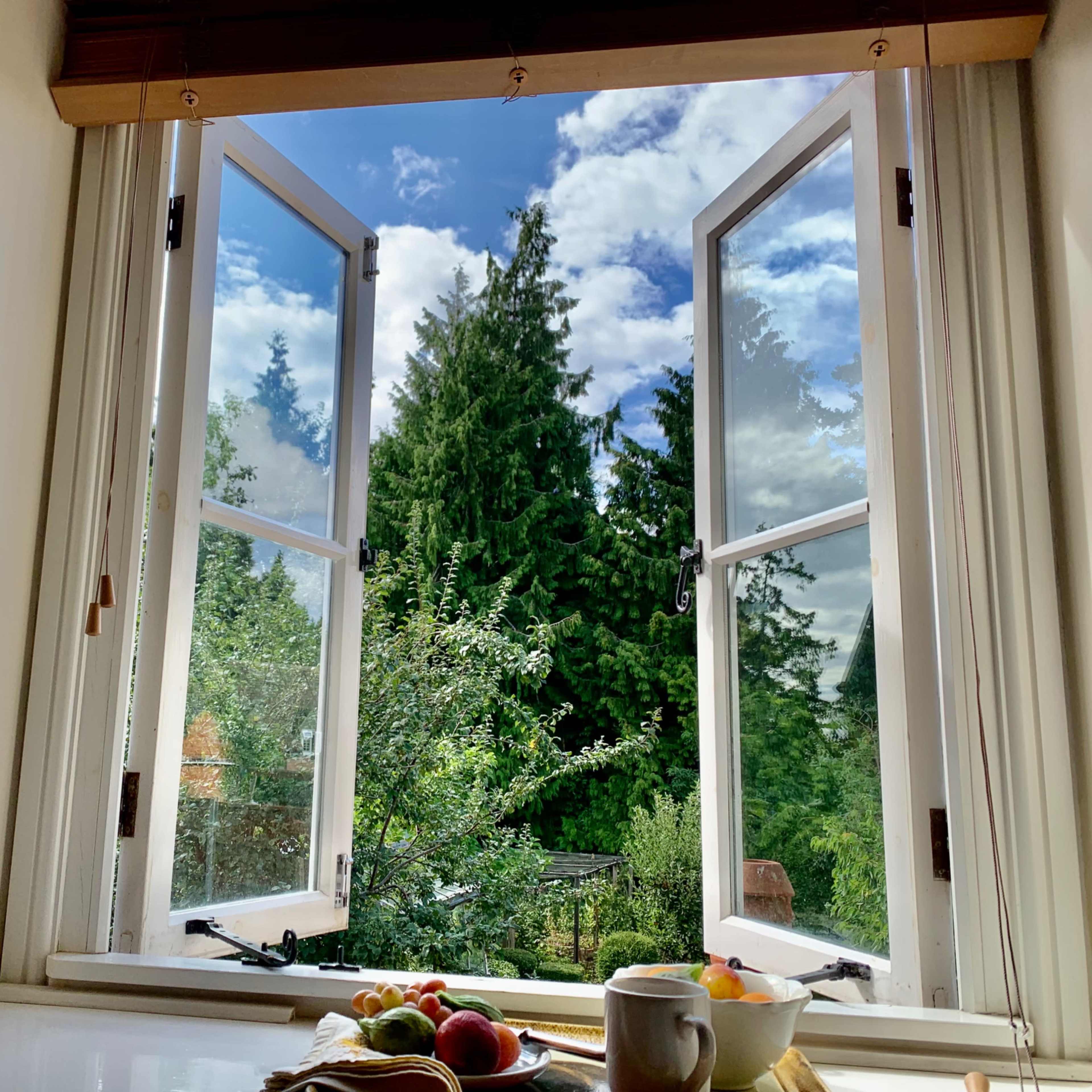 A kitchen window is open, revealing green trees and a partly cloudy sky outside, with a plate of fruit and a cup on a table in the foreground.