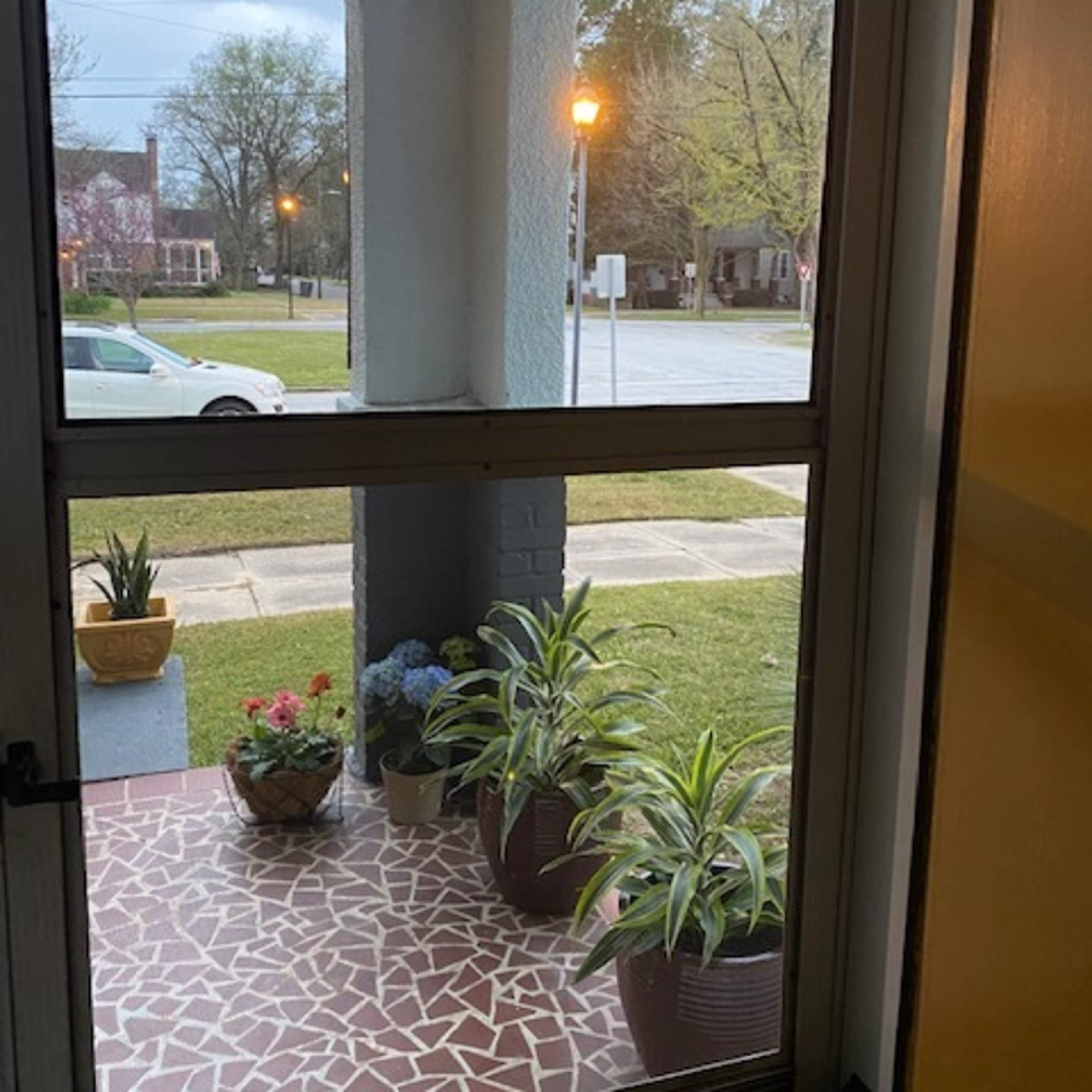A view from inside a house looking out onto a front porch with potted plants and a street lamp in a residential neighborhood.