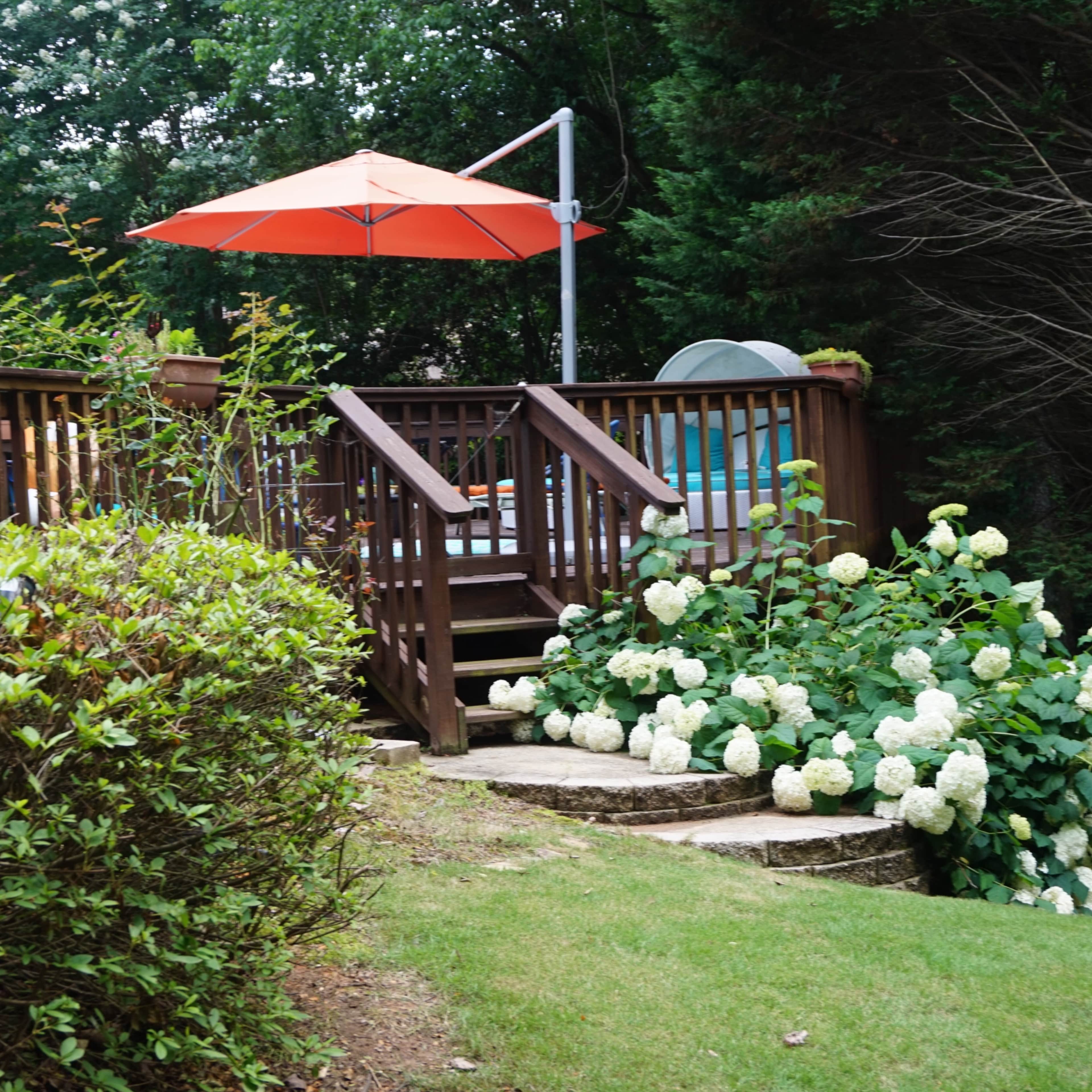 A wooden deck with an orange umbrella is surrounded by greenery and white hydrangea flowers.