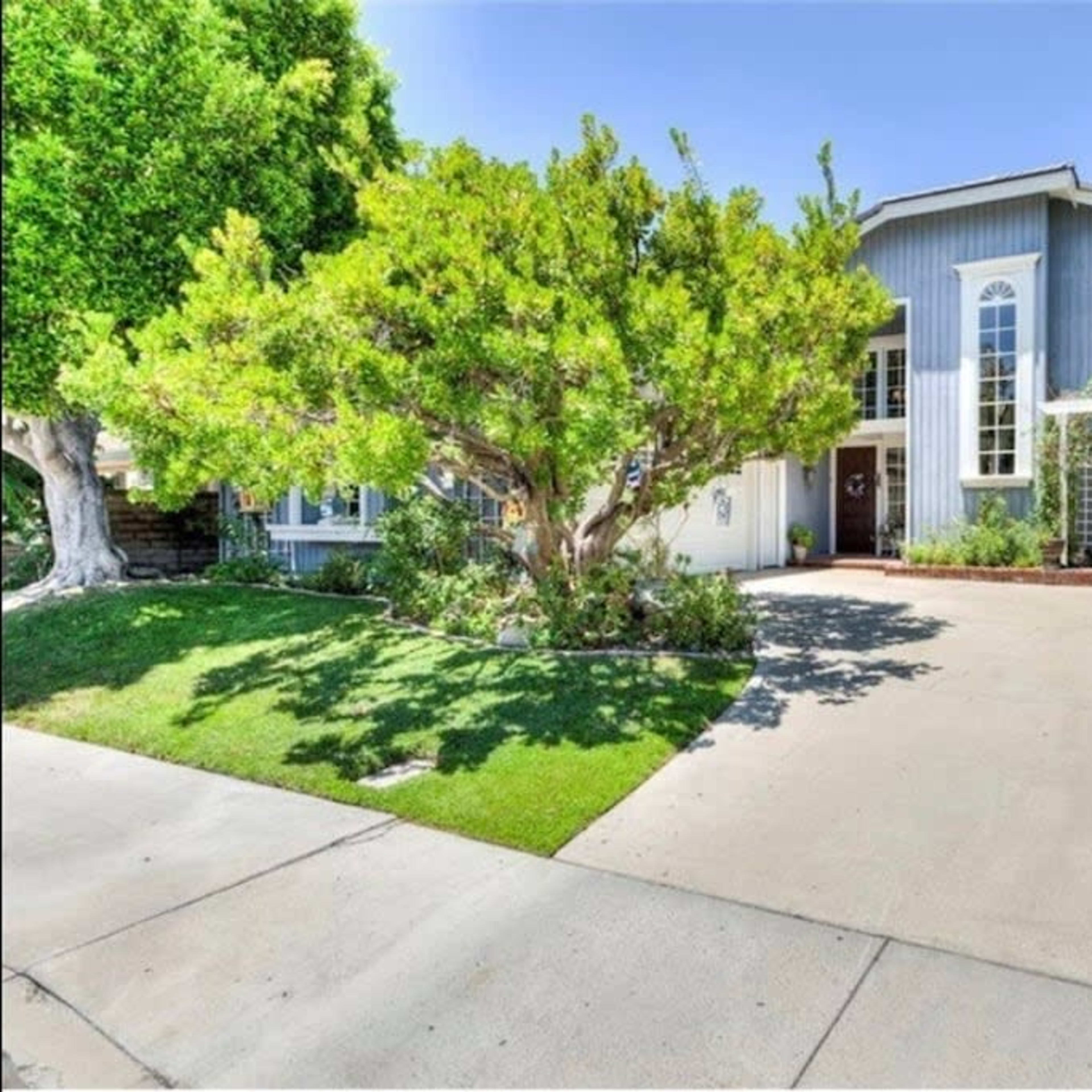 A two-story blue house with large windows is surrounded by green trees and a well-maintained lawn.