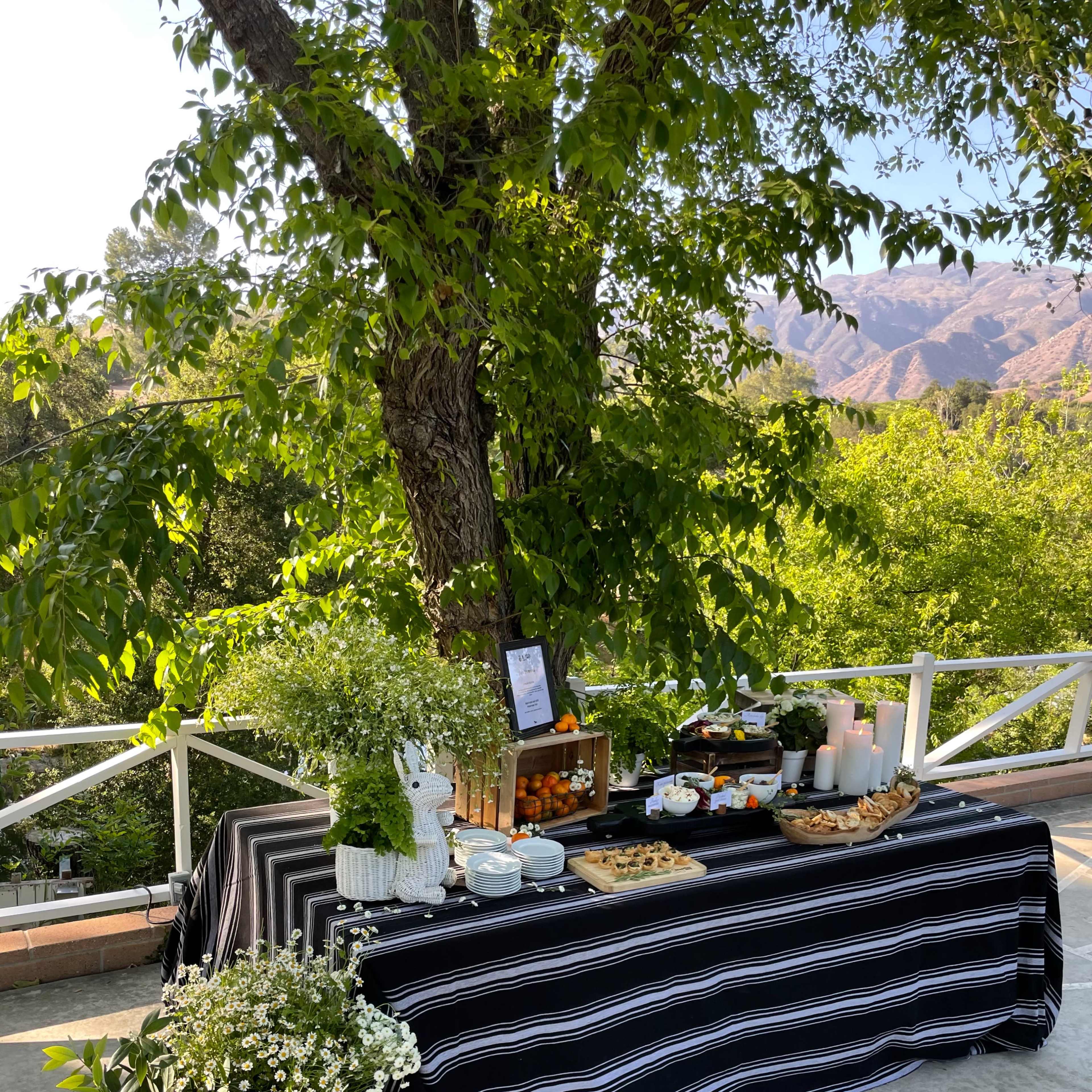A striped tablecloth displays various snacks and beverages under a tree with mountains in the background.