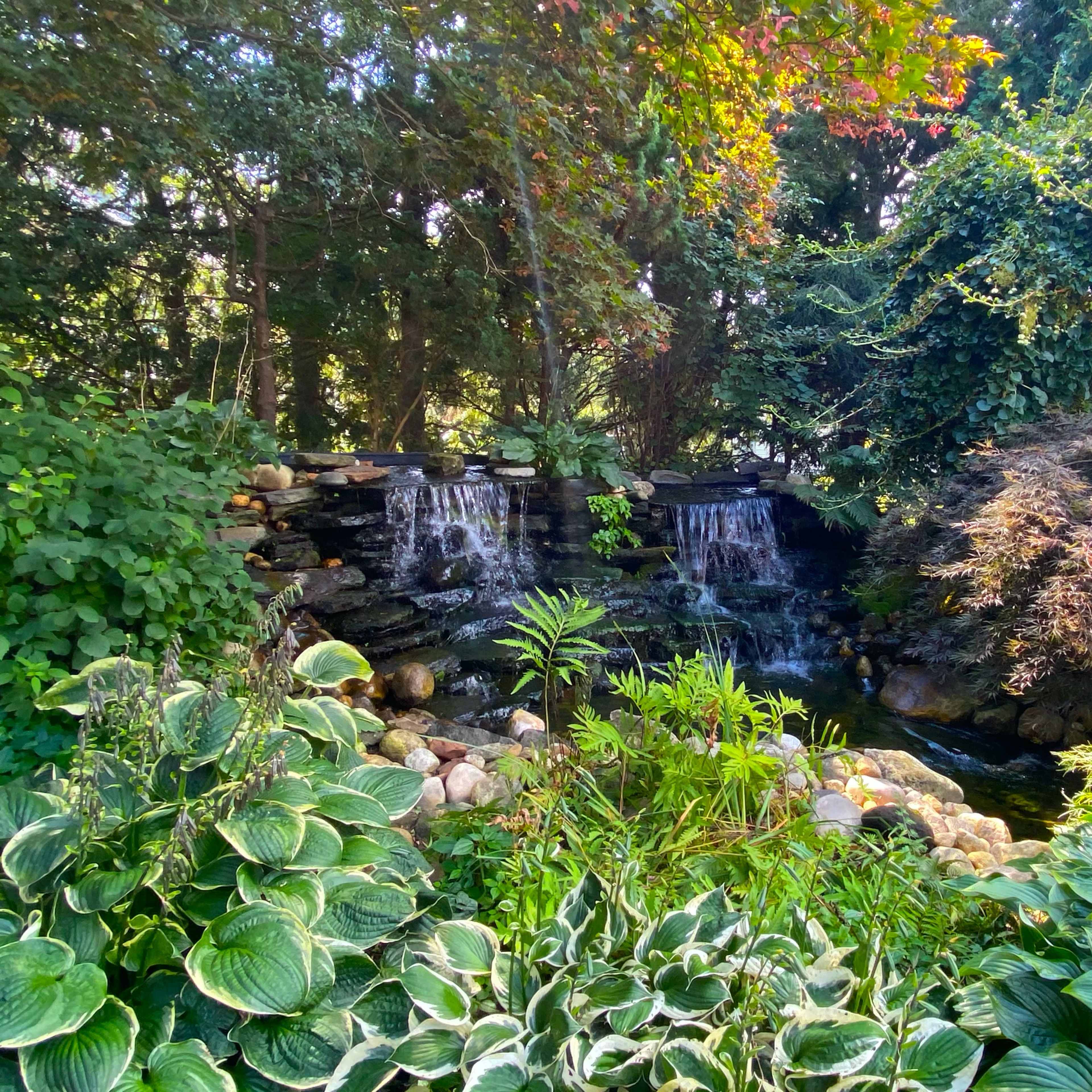 A small waterfall cascades over rocks into a pond, surrounded by lush greenery and colorful vegetation.