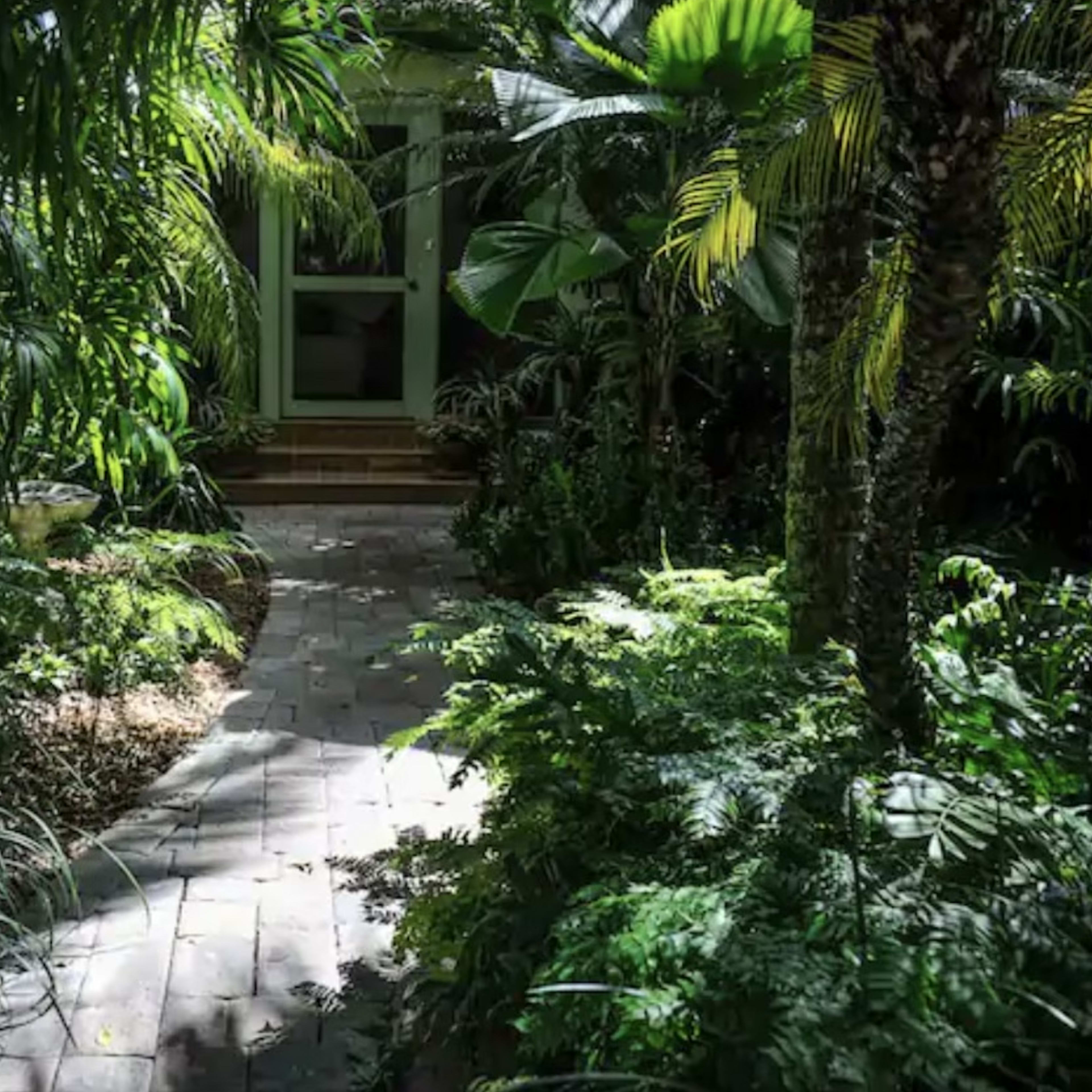 A stone pathway winds through dense greenery leading to a building entrance shaded by tropical plants.