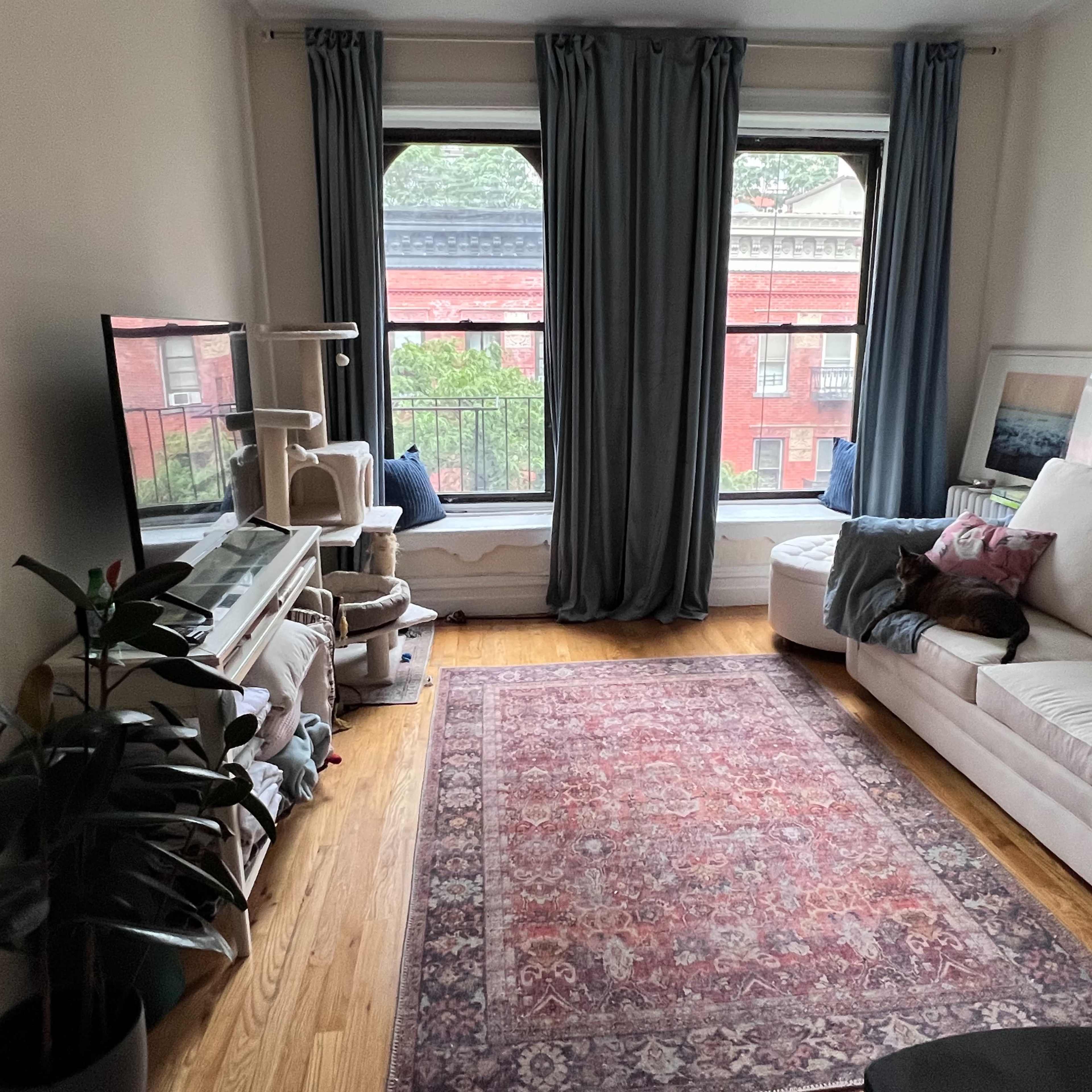 A cozy living room with a white couch, a large window with blue curtains, and a patterned rug on the wooden floor.