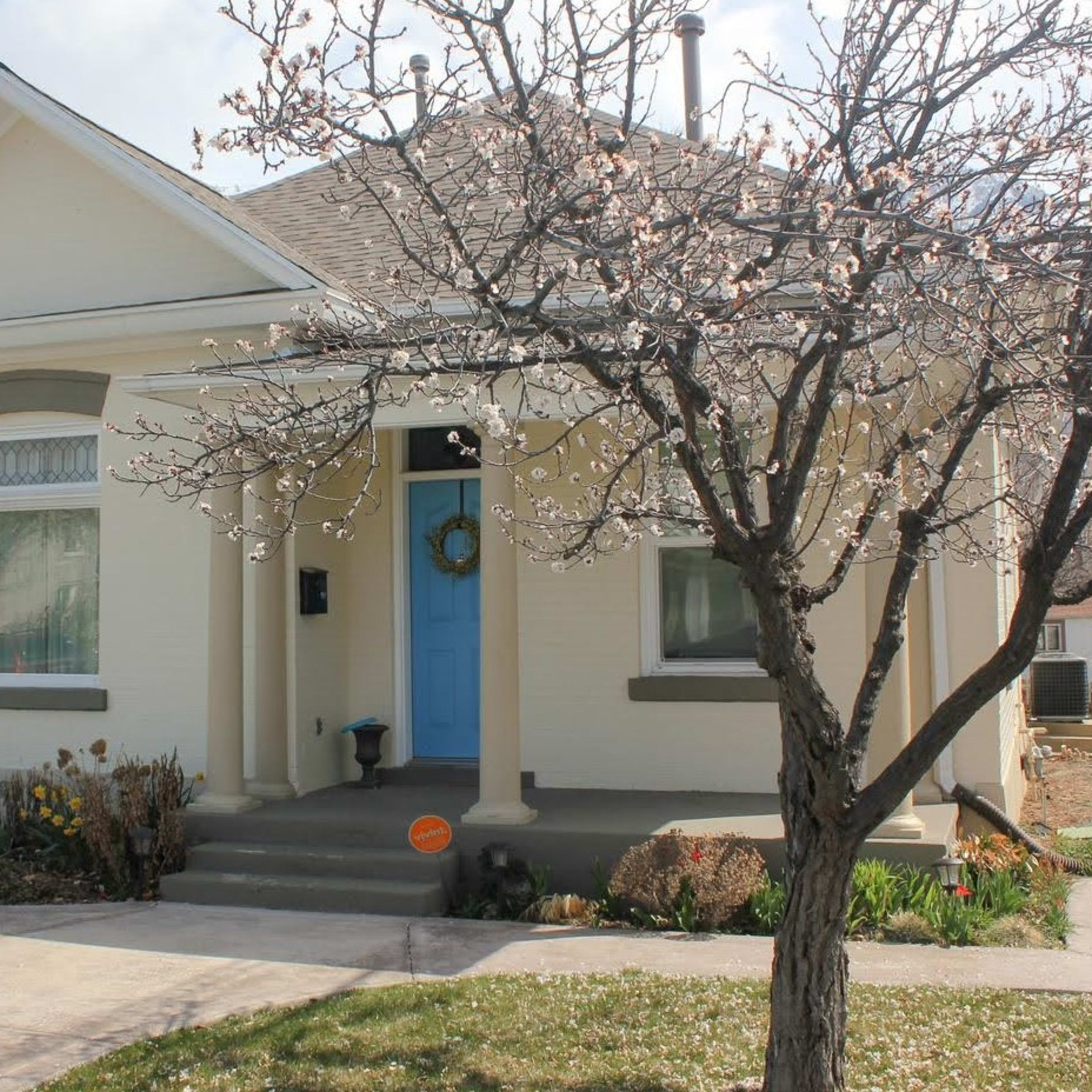 A single-story house with a front porch features a light-colored exterior, a blue door, and a flowering tree in the foreground.